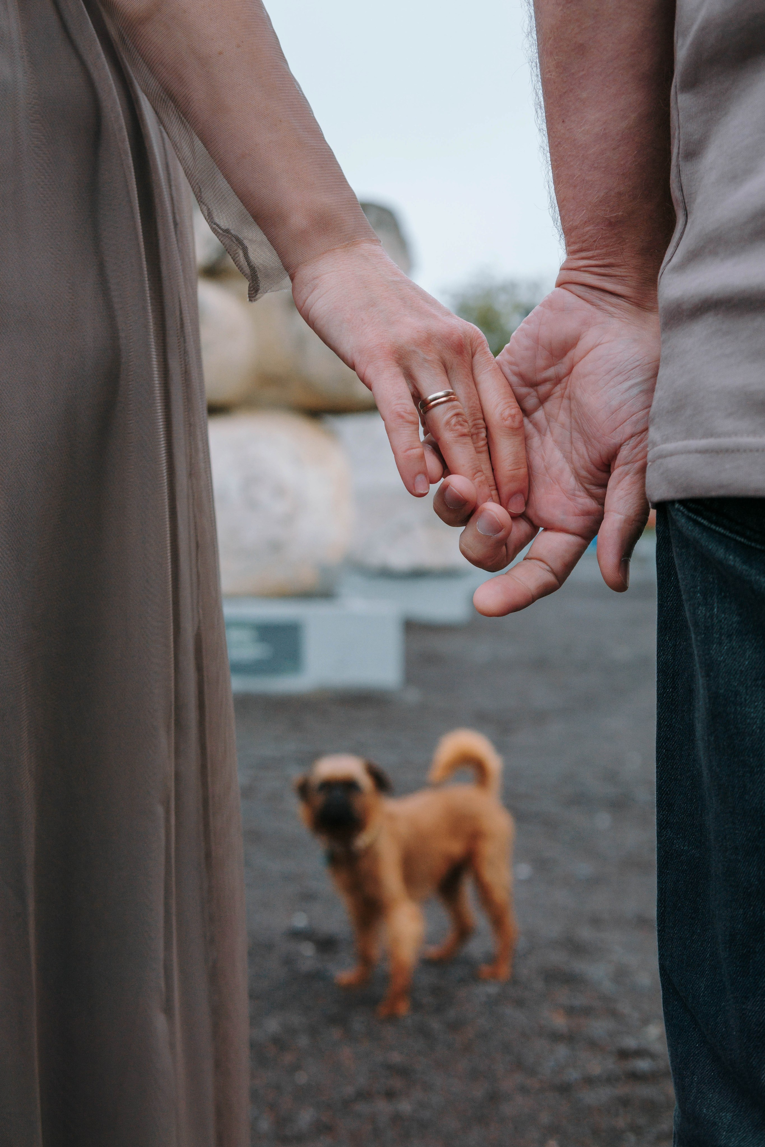 Наташа, Сережа и Хавьер. Фотограф-анималист Ксения Воробьева, Москва