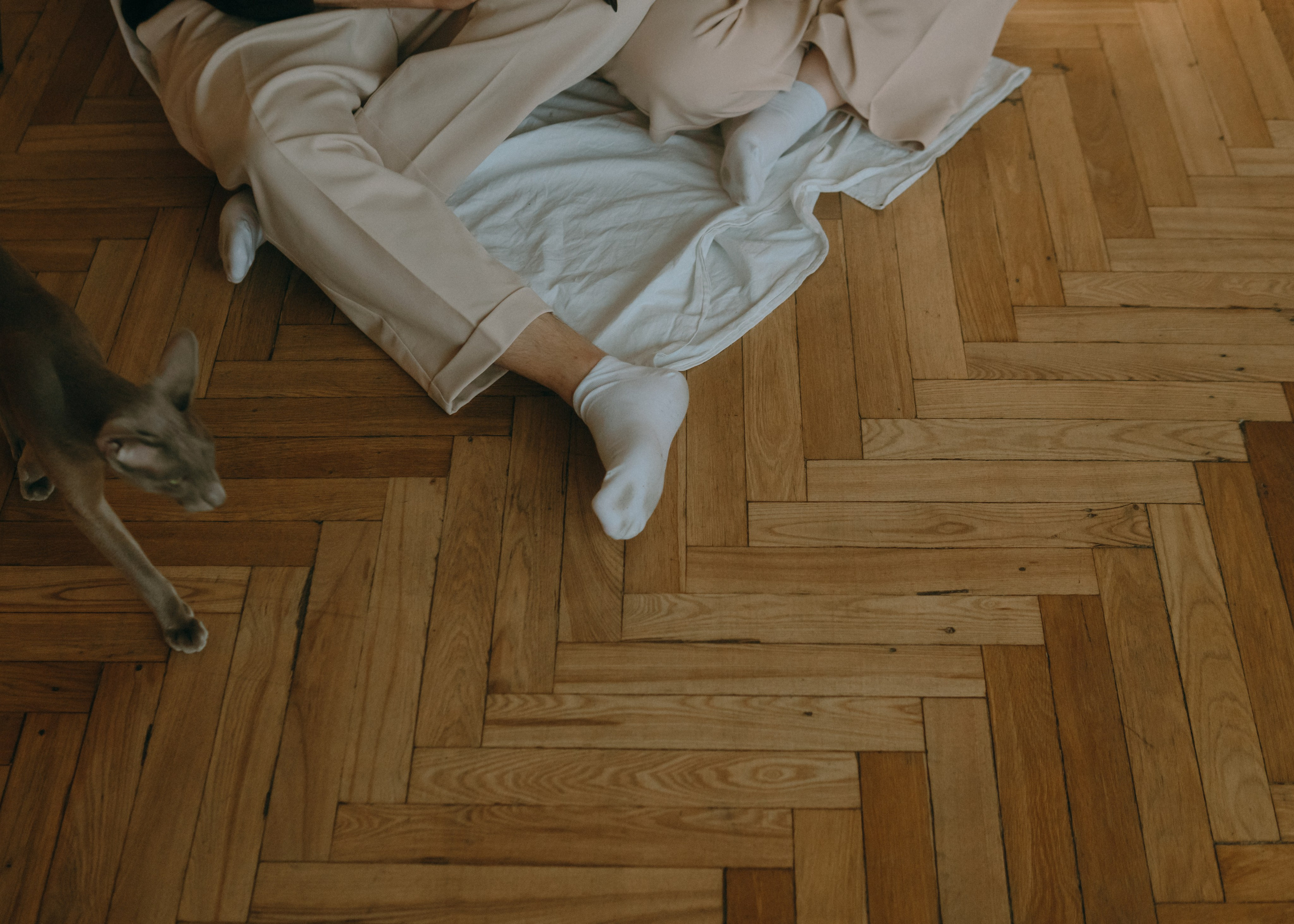 Амина, Булат и Орион. Фотограф-анималист Ксения Воробьева, Москва