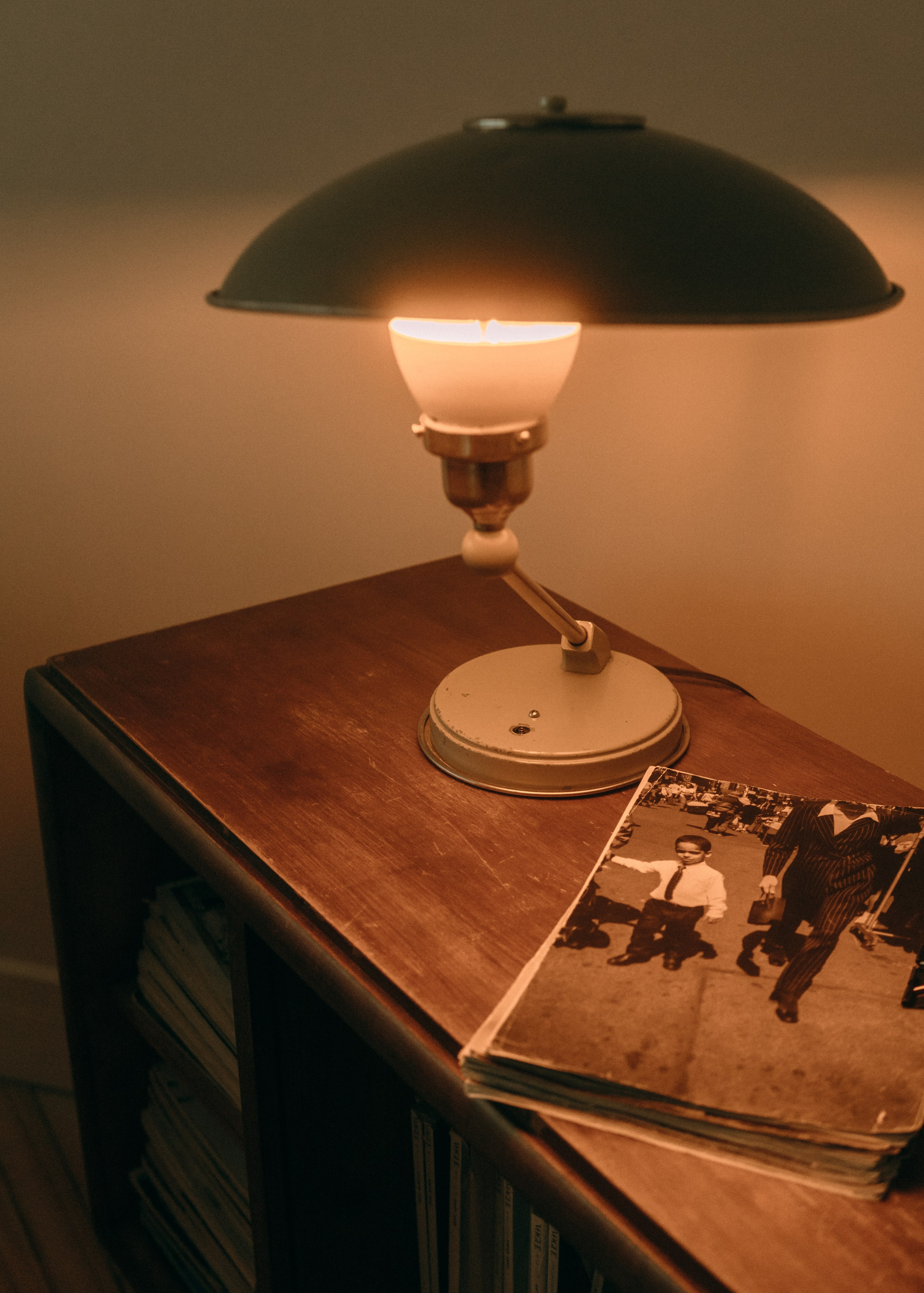 Амина, Булат и Орион. Фотограф-анималист Ксения Воробьева, Москва