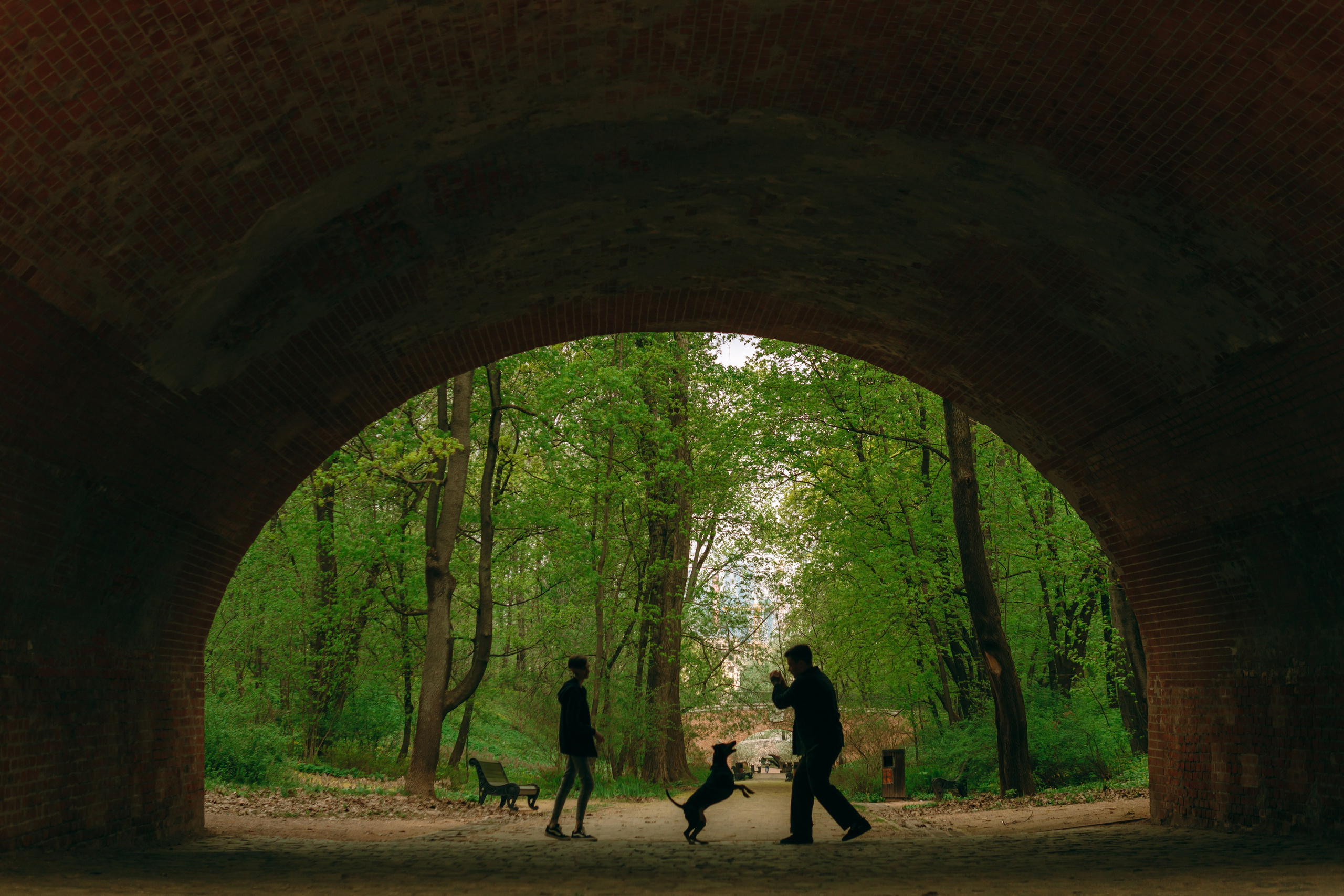 Кира, Максим и Аскара. Фотограф-анималист Ксения Воробьева, Москва