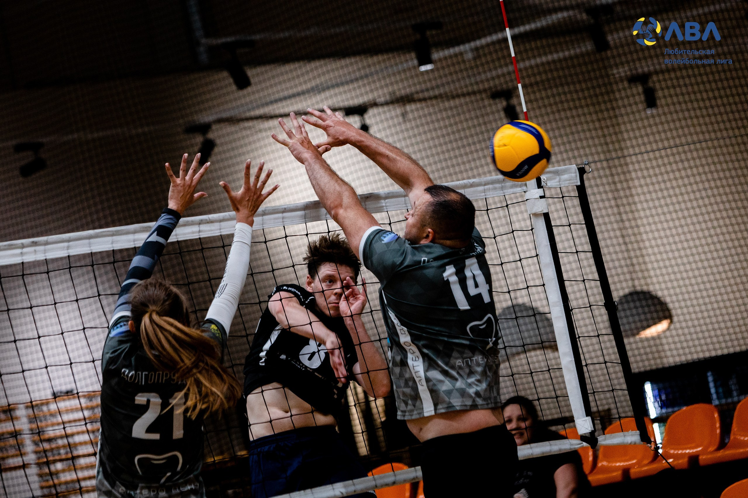 Полуфинальные матчи Любительской волейбольной лиги. Павел Шарапов | Фотограф | Москва