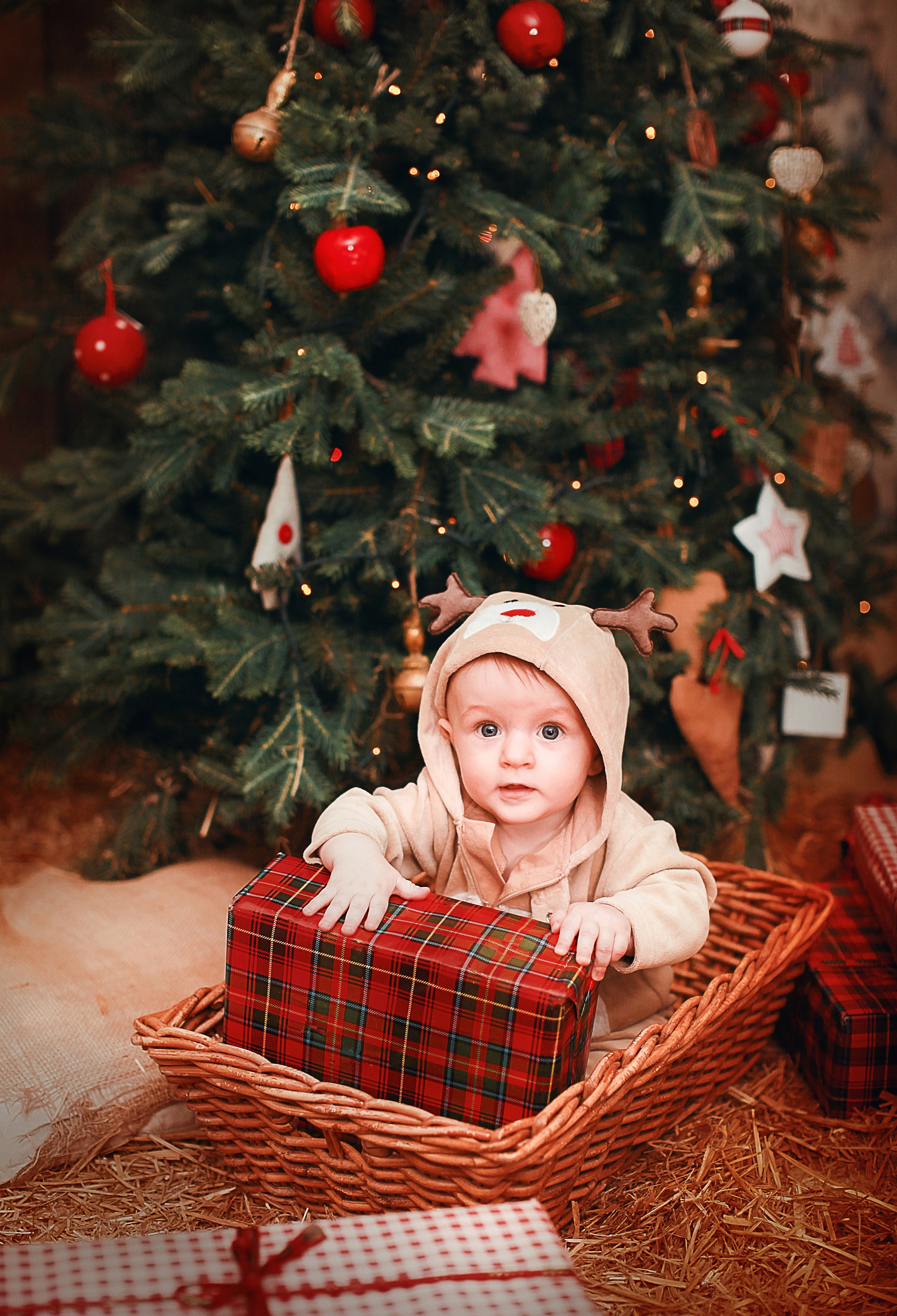 Новогодние фотосессии. Детский и семейный фотограф Зоя Павкина