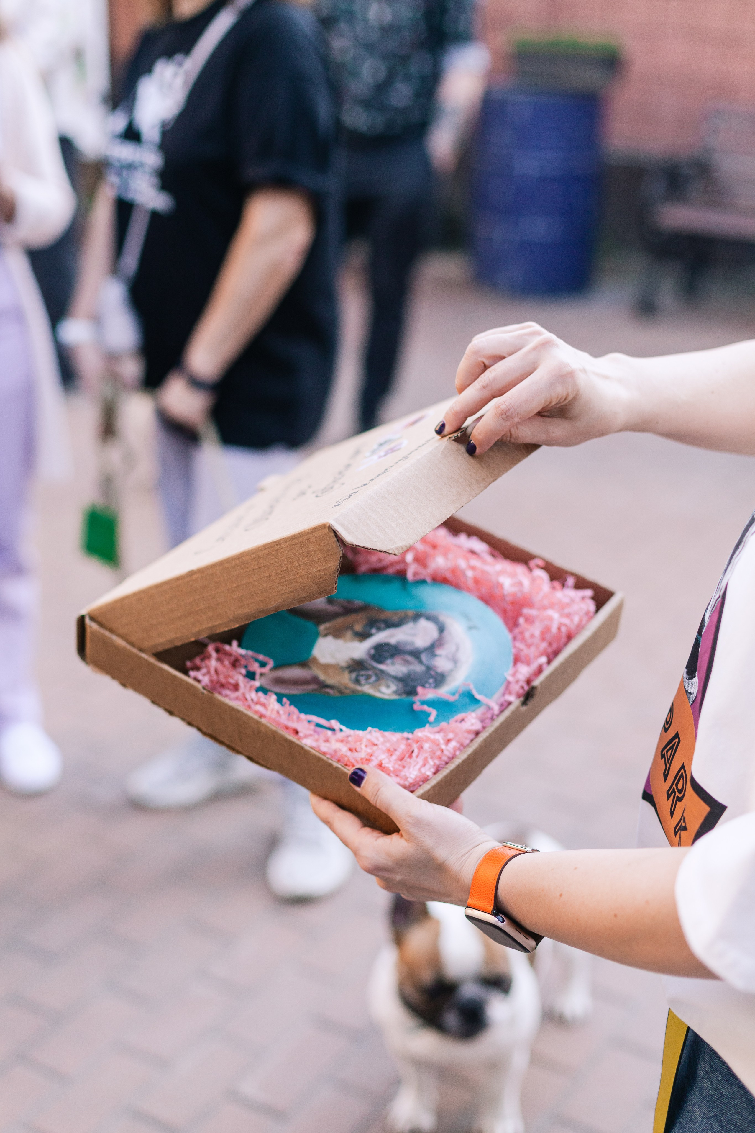 Бульбалл 23.04.2023. Фотограф-анималист Татьяна Степанова