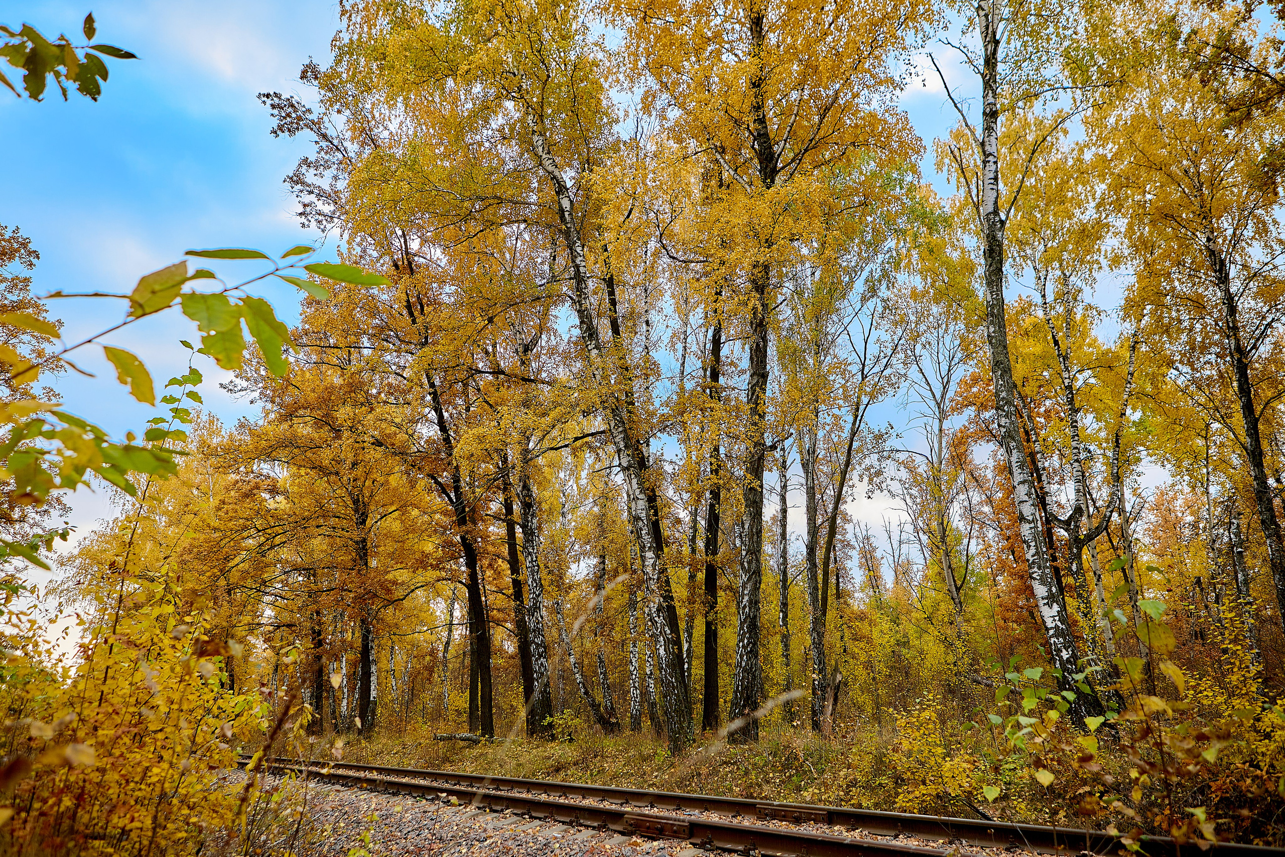 Фотографии природы
