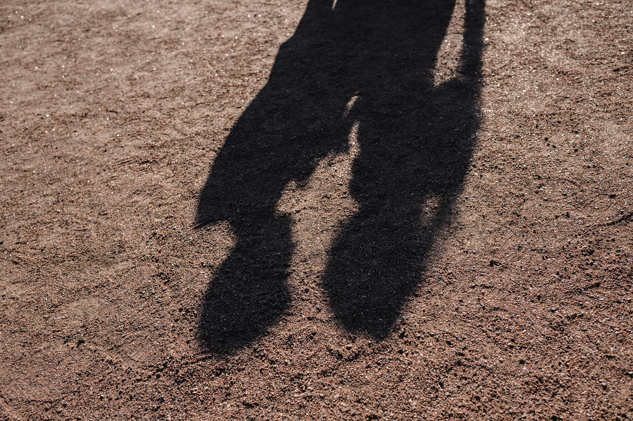 Анна & Платон. Фотограф на свадьбу в С-Пб Борис Большой