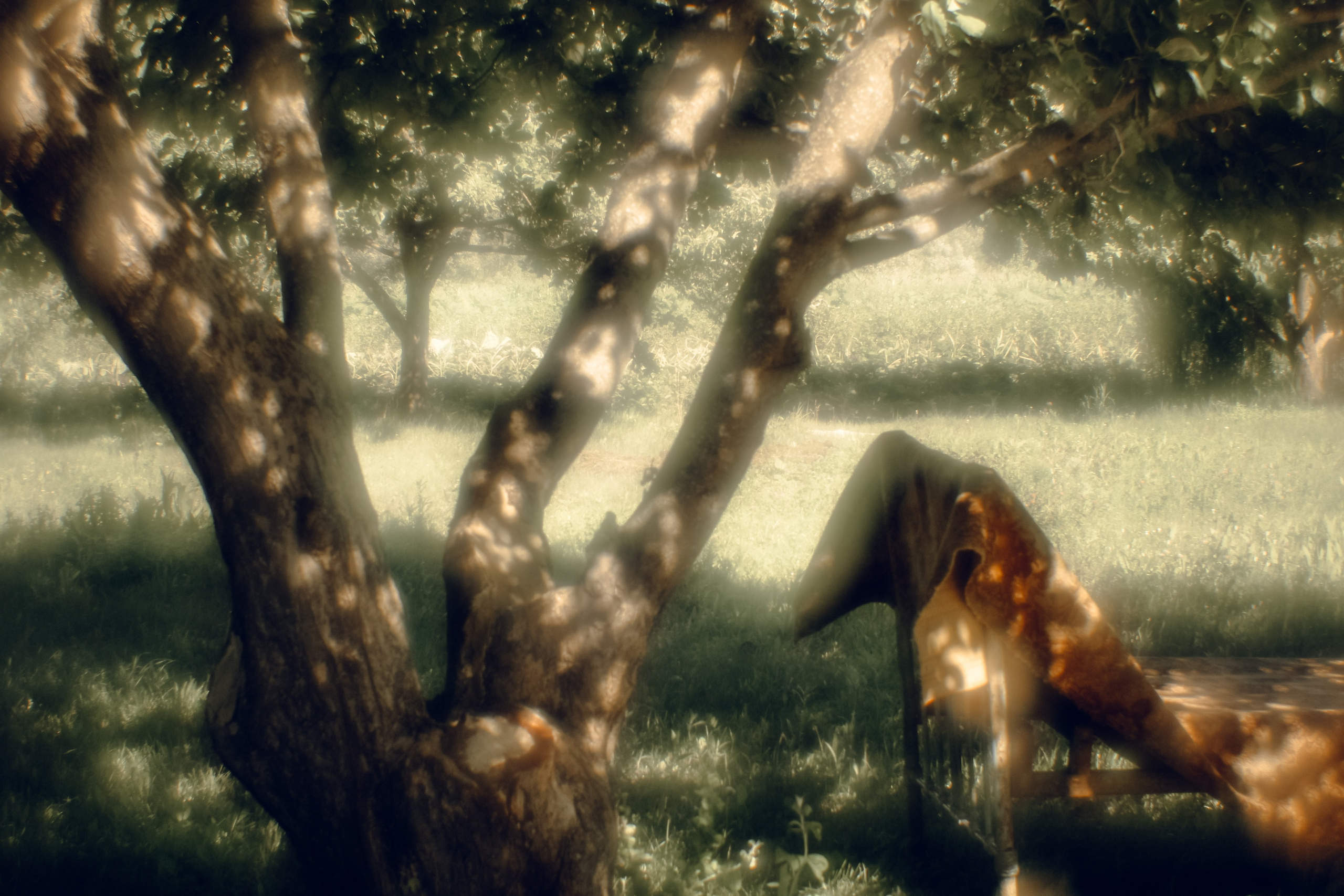 Деревенские зарисовки. Семейный LIFESTYLE фотограф в Москве