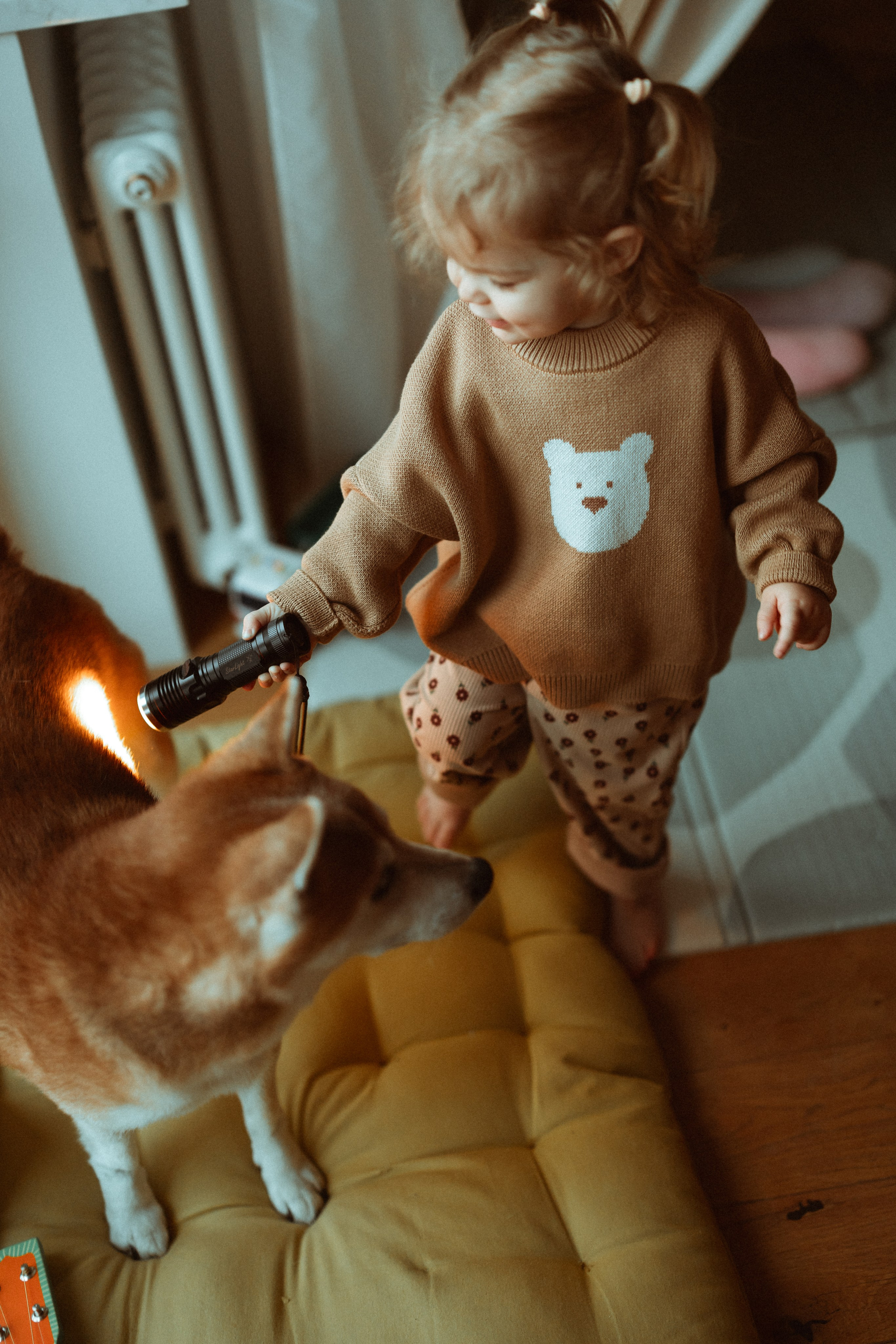 Новогодний переполох. Евгения Пелипас