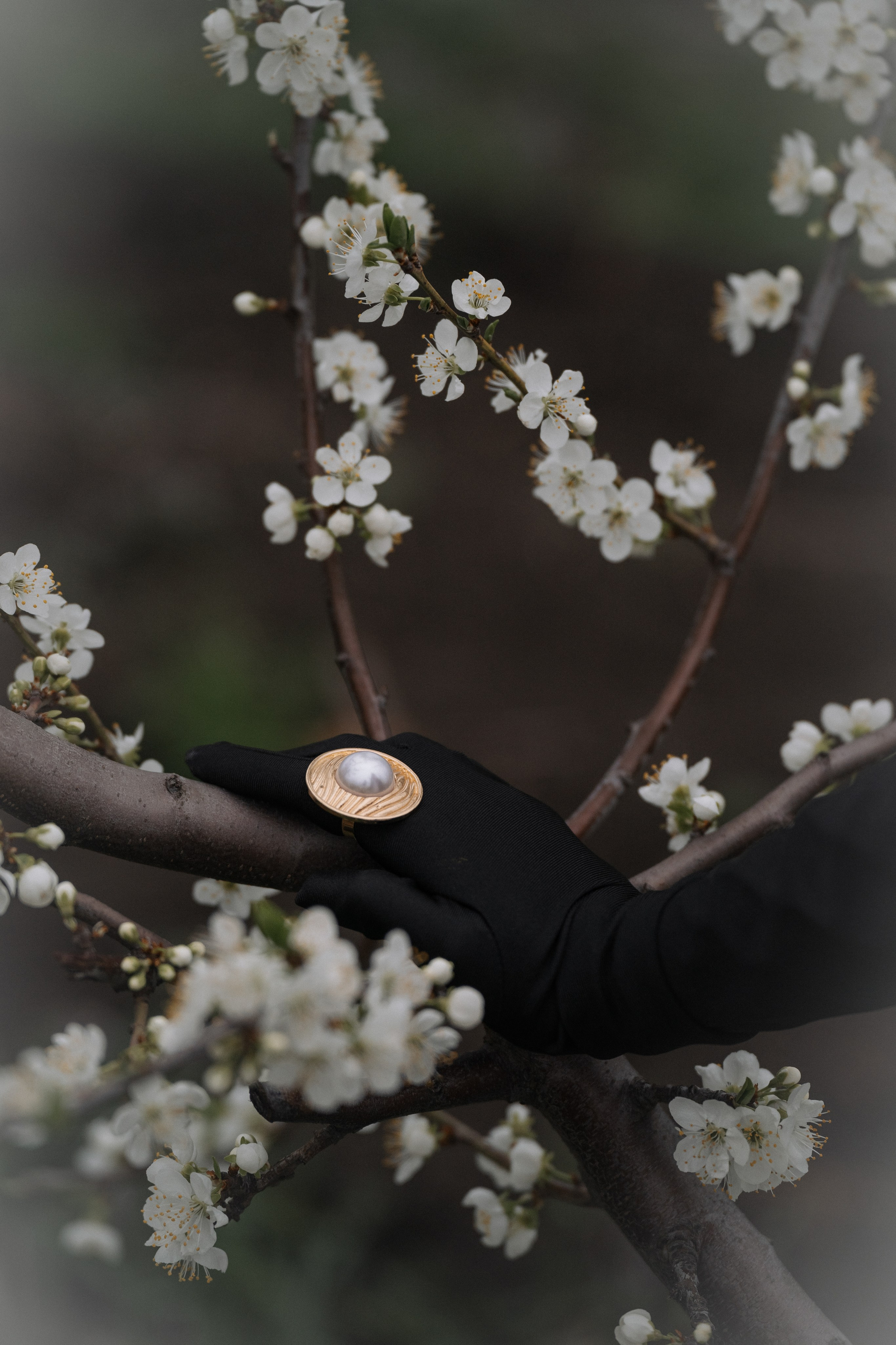 Женский образ в стиле ретро среди цветущих деревьев Анапы  