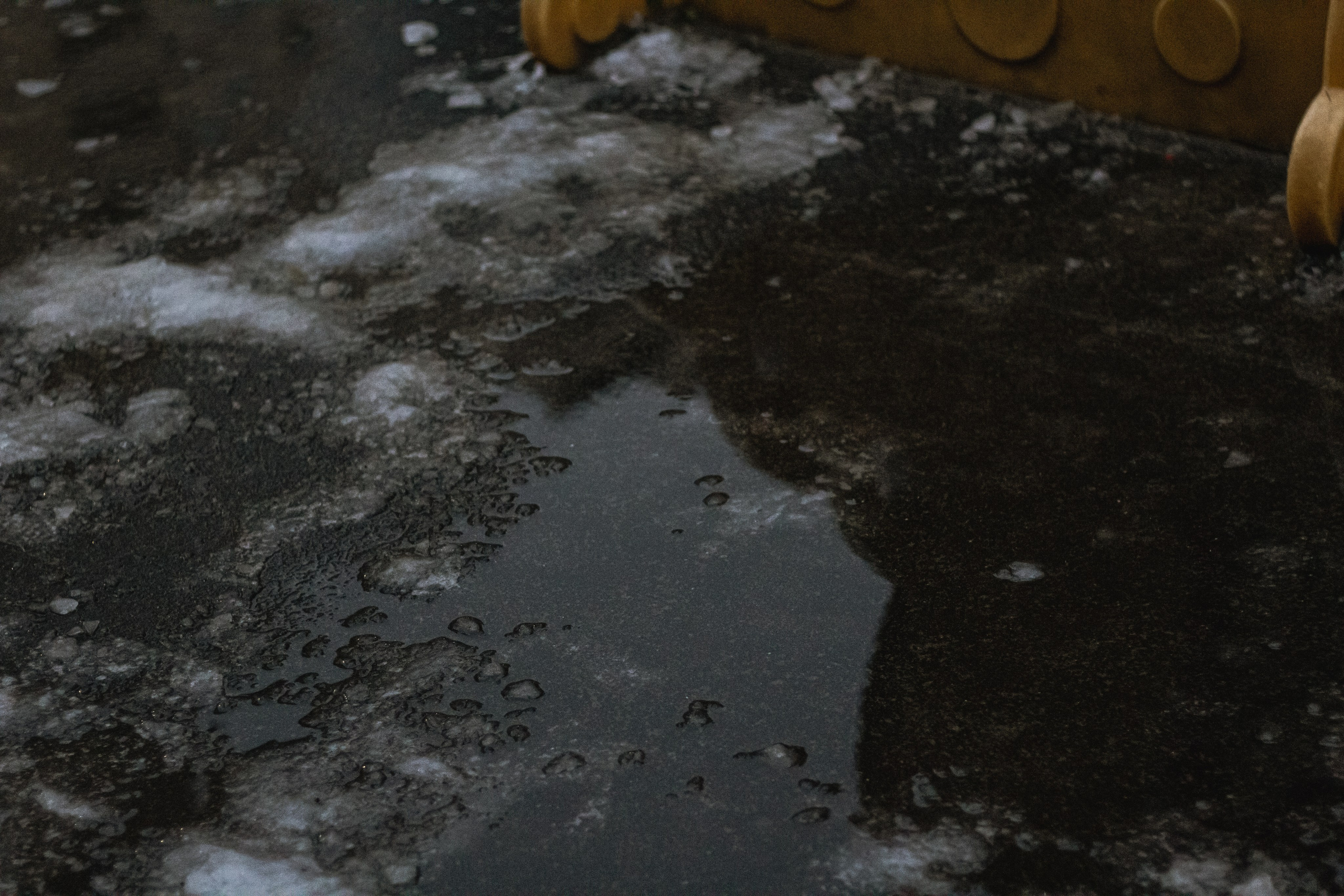 Осень-зима. Фотограф Москва, портрет, стрит, репортаж. Художественная фотосессия