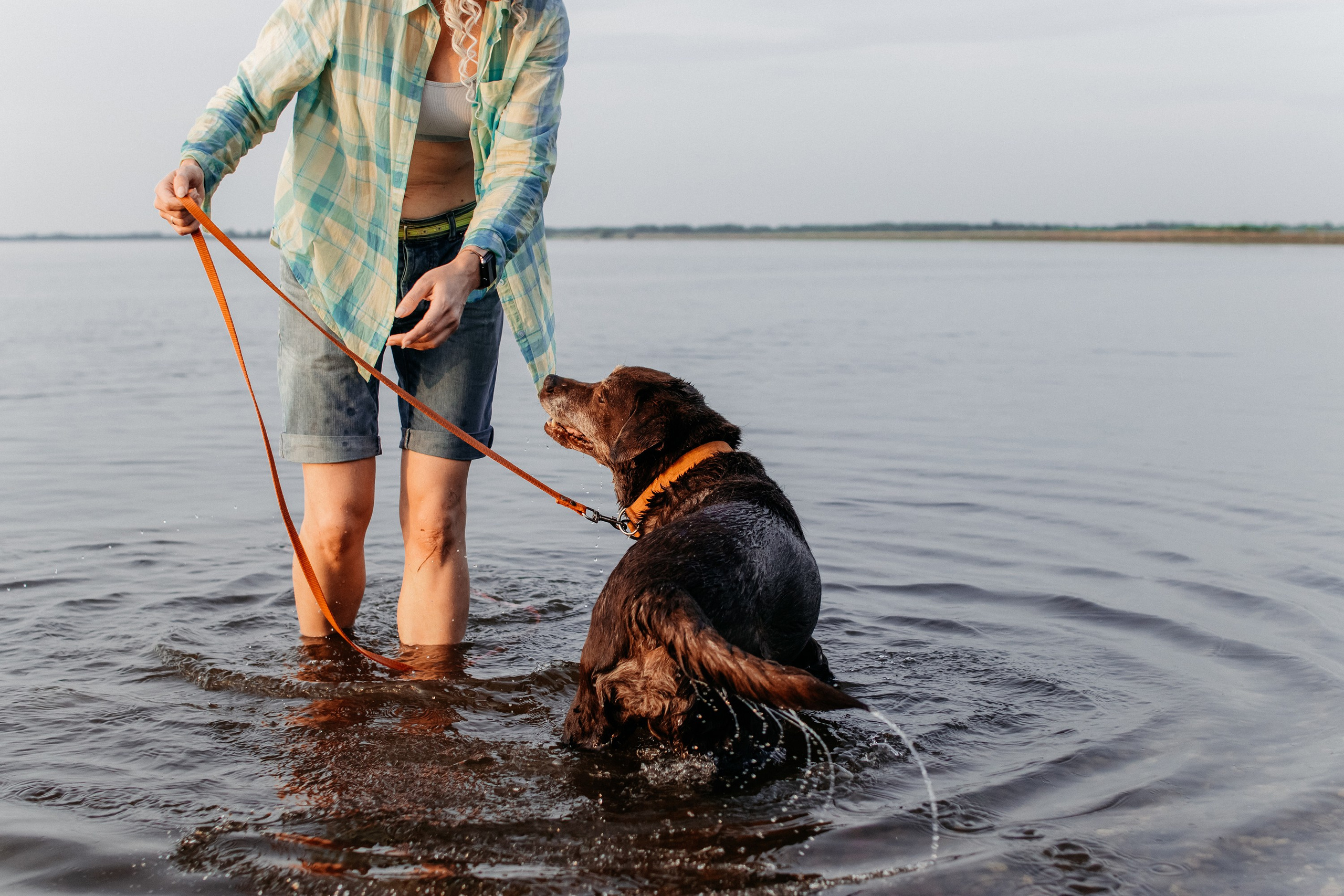 Юля и Свити. Фотограф Наталья Потапова