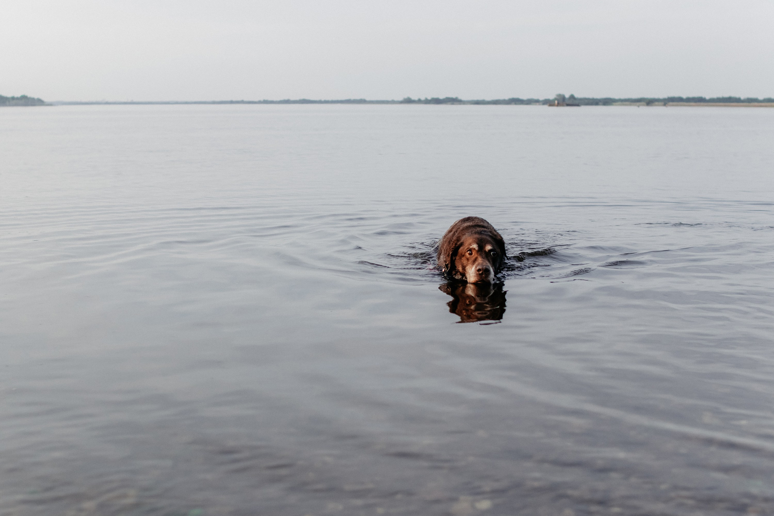 Юля и Свити. Фотограф Наталья Потапова