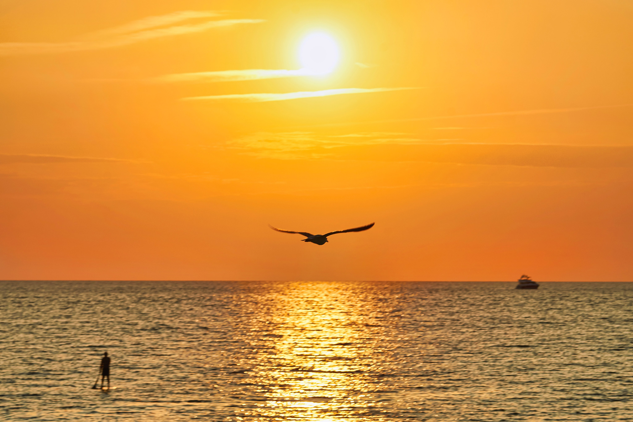 Сочи. Море. Закат.