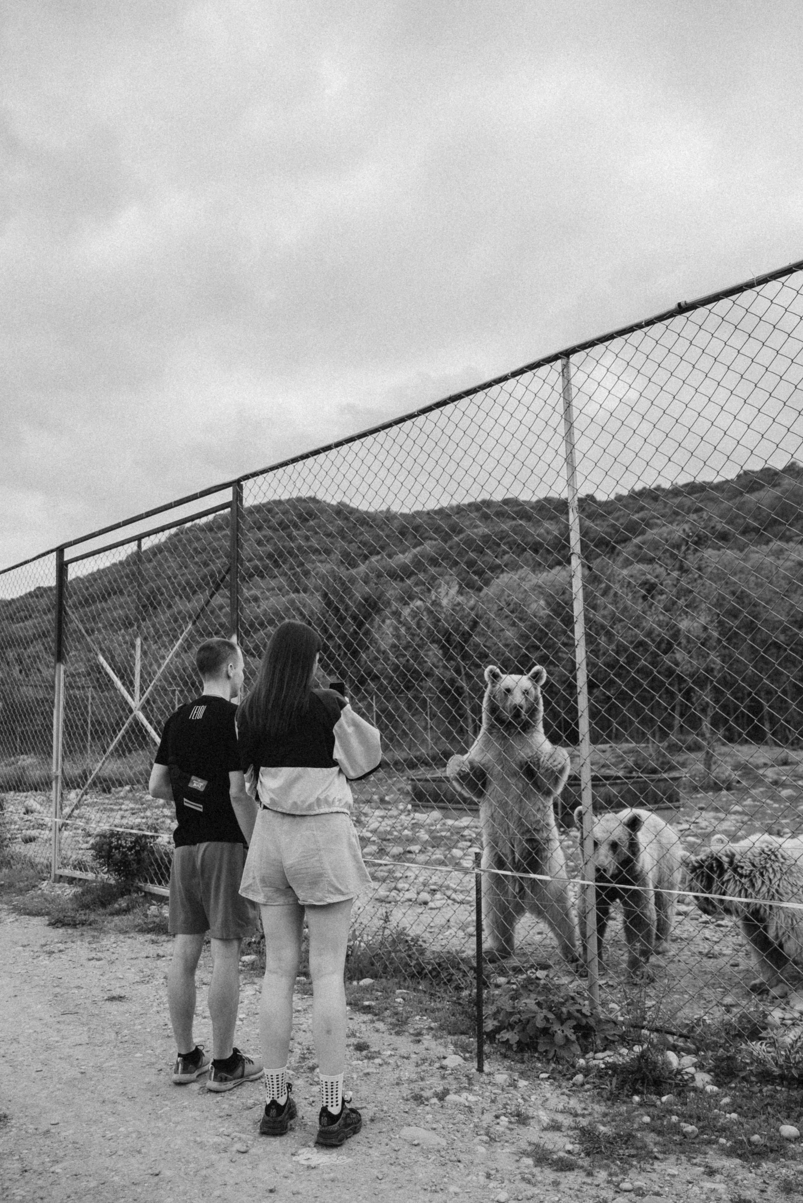 Медвежий приют, Мамкода, Грузия 🇬🇪 «Honey Trip». Anita_photo