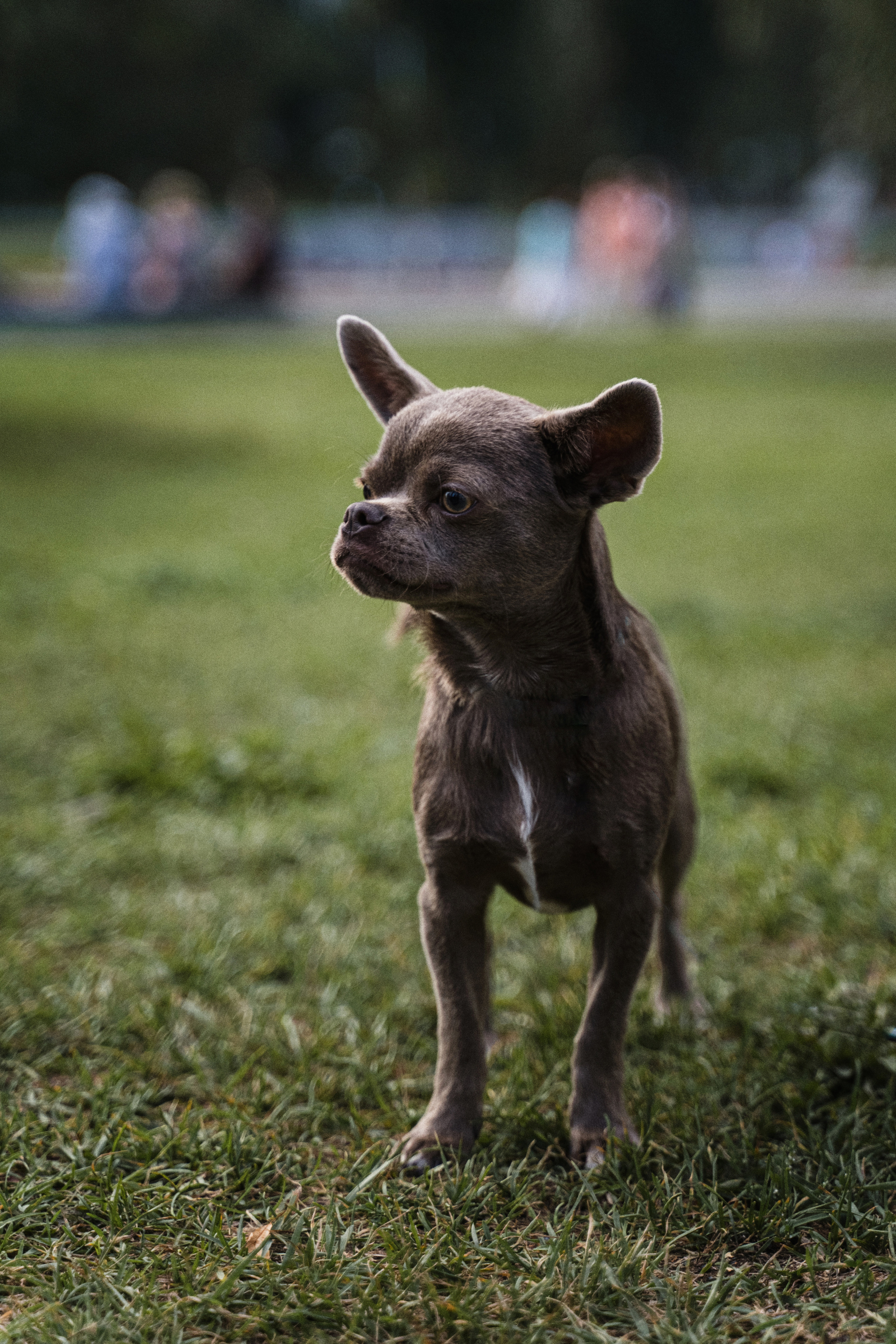 Репортажный фотограф в В. Пышме и Екатеринбурге Вячеслав Заблоцкий