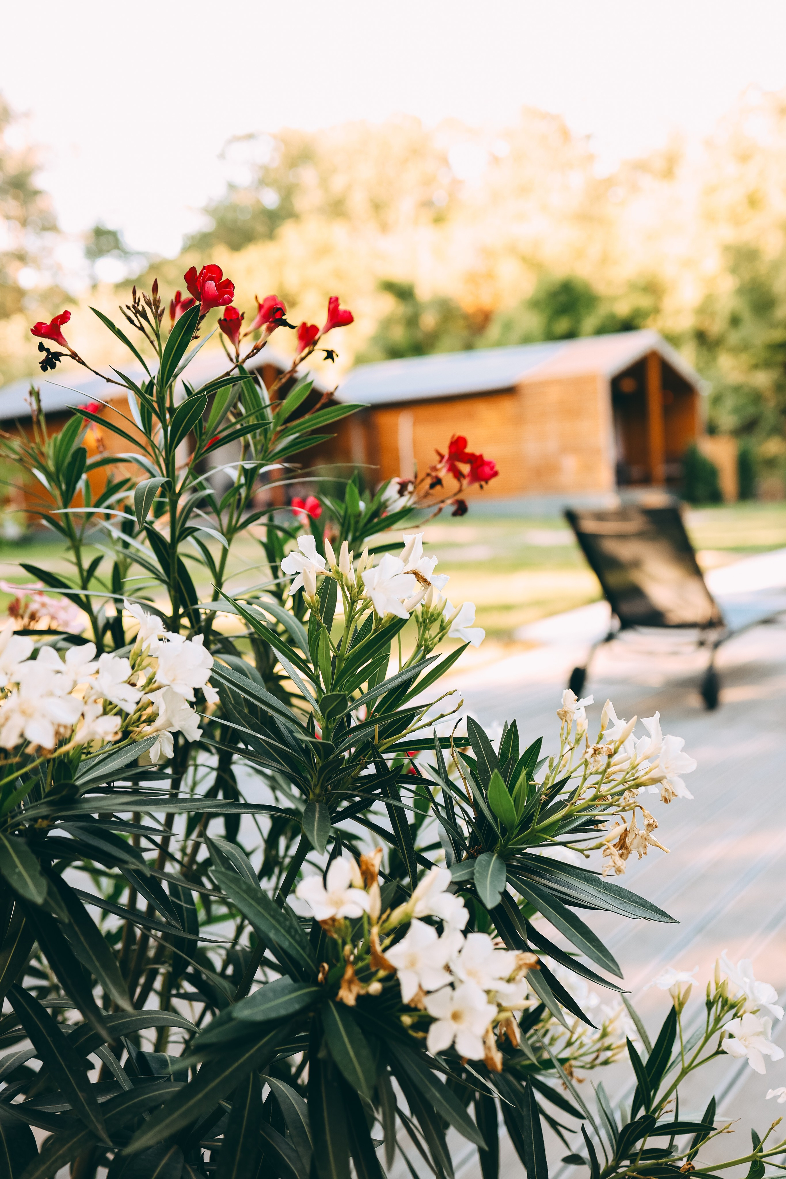 Семья Савелия и Тимофея. Свадебный и семейный фотограф в Воронеже Ксения Воротникова