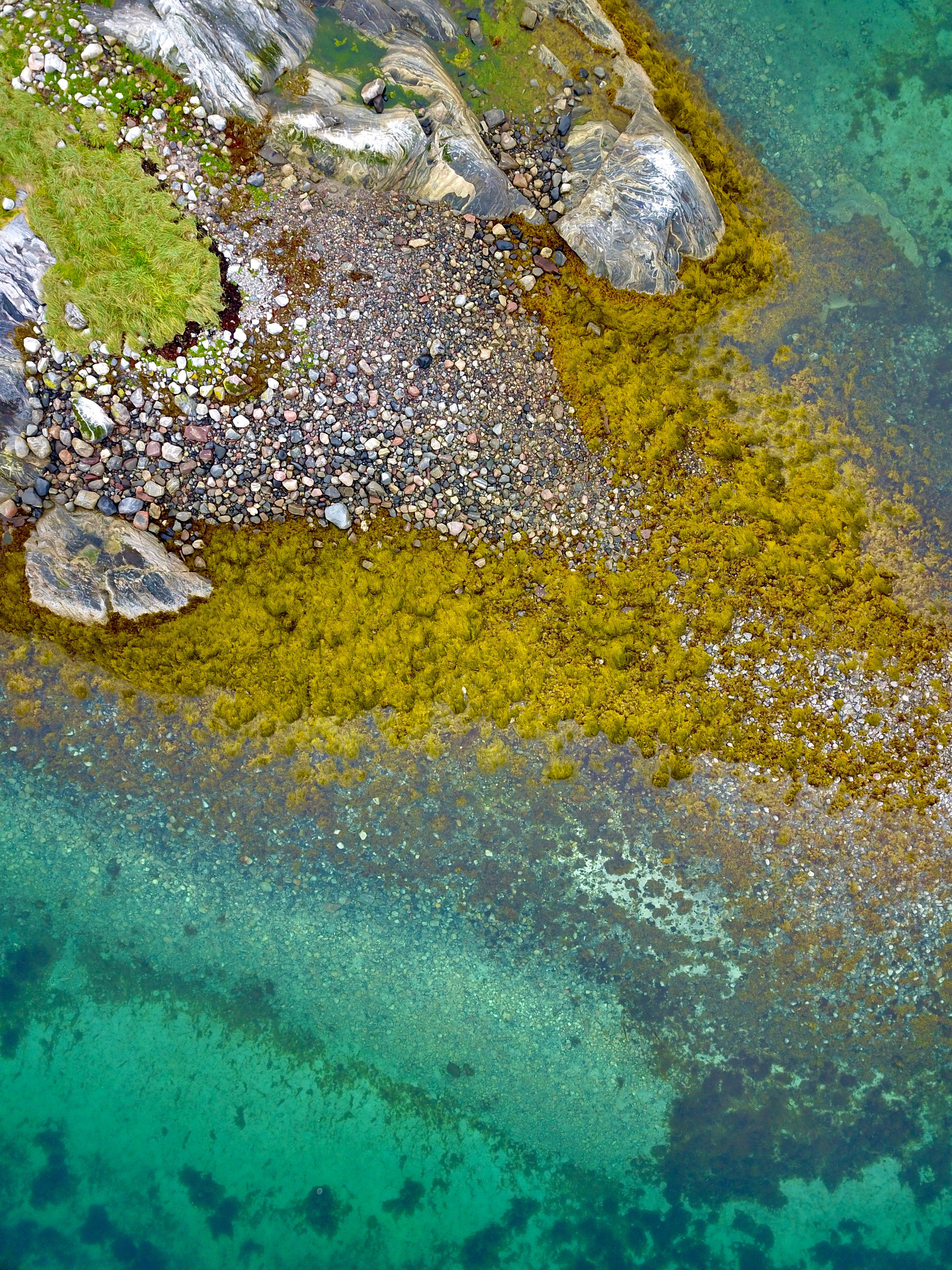 Норвегия. Добродеева Алла фотограф, Москва