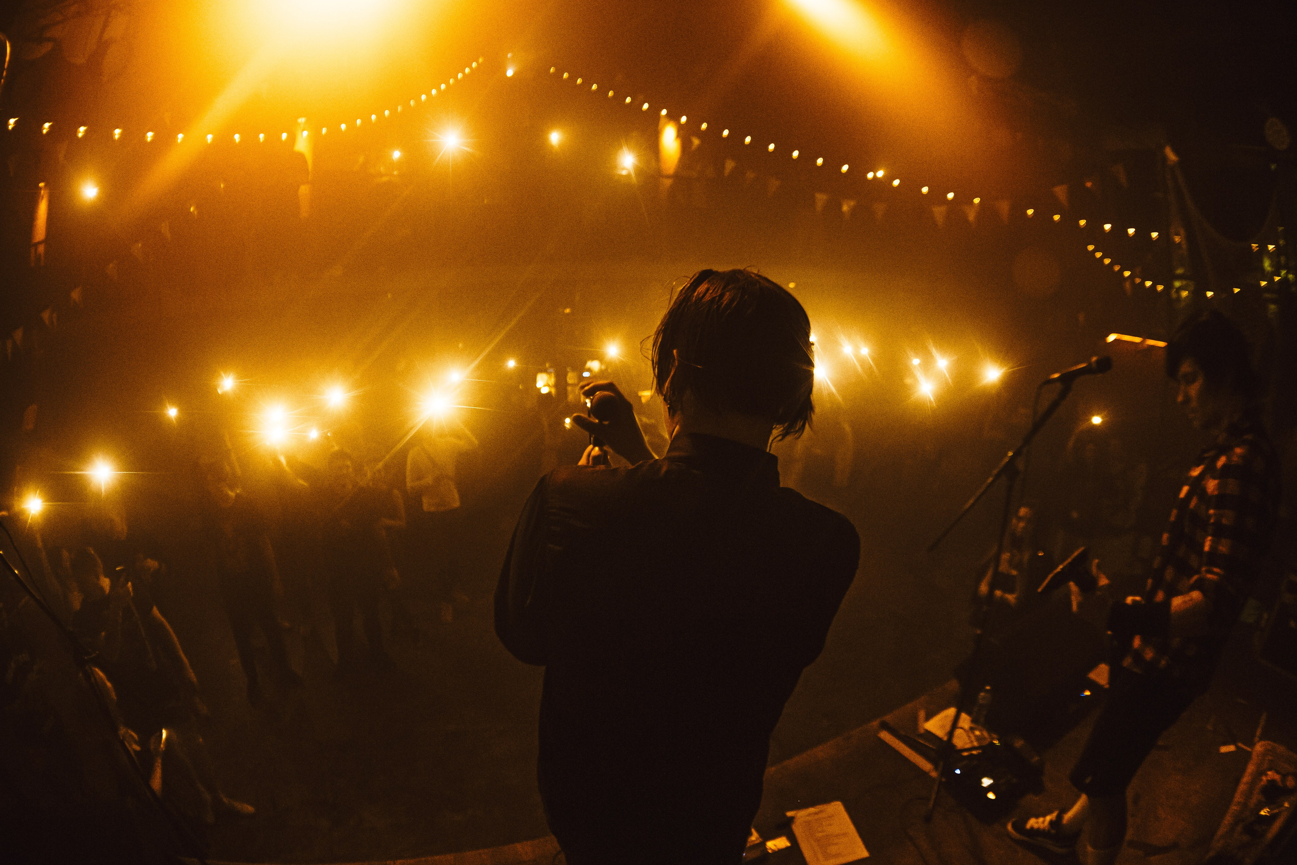 WITNESS EFFECT | 19.04.25 | Ласточка