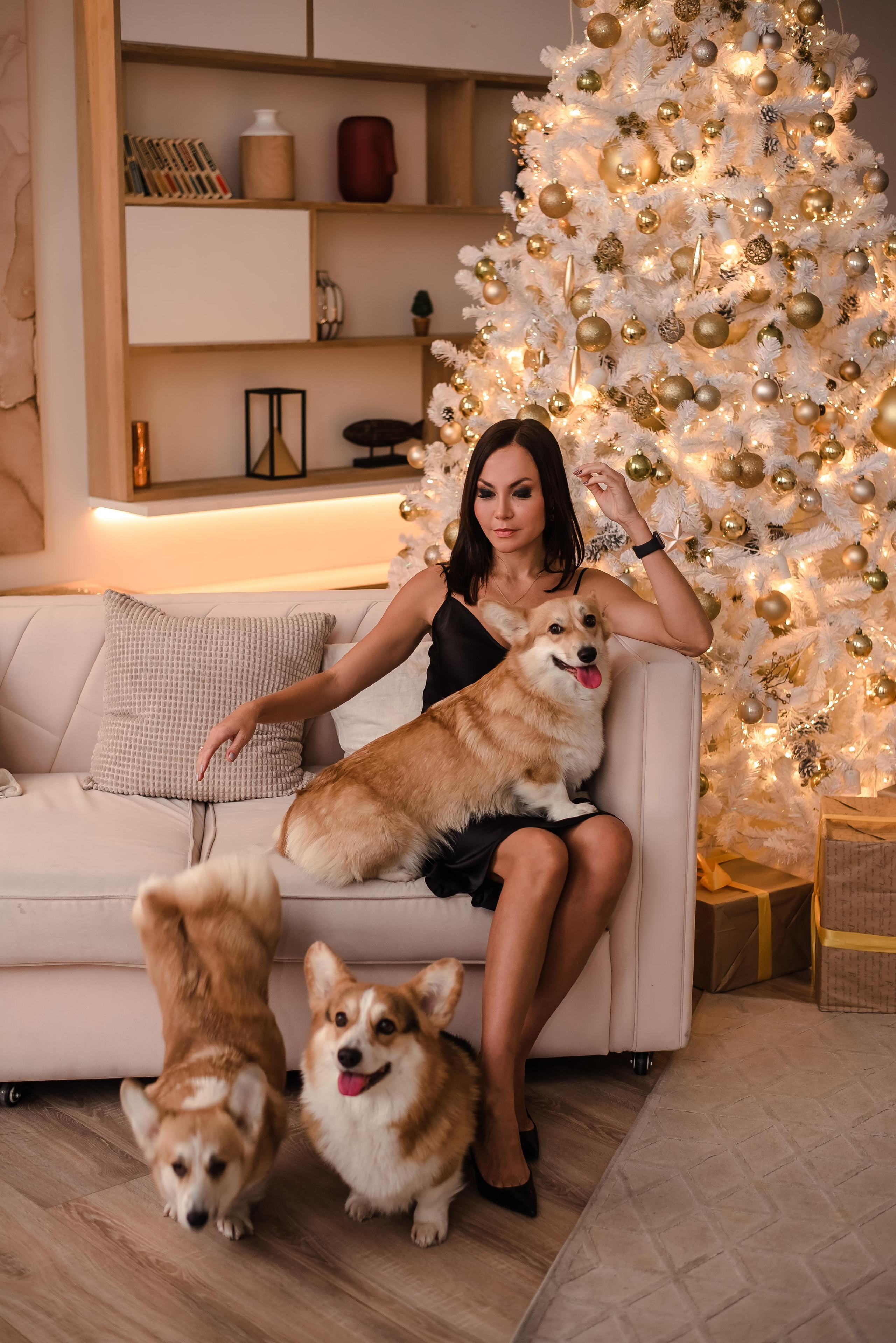 Новый год. Контент фотограф в Москве Лихачева Ксения