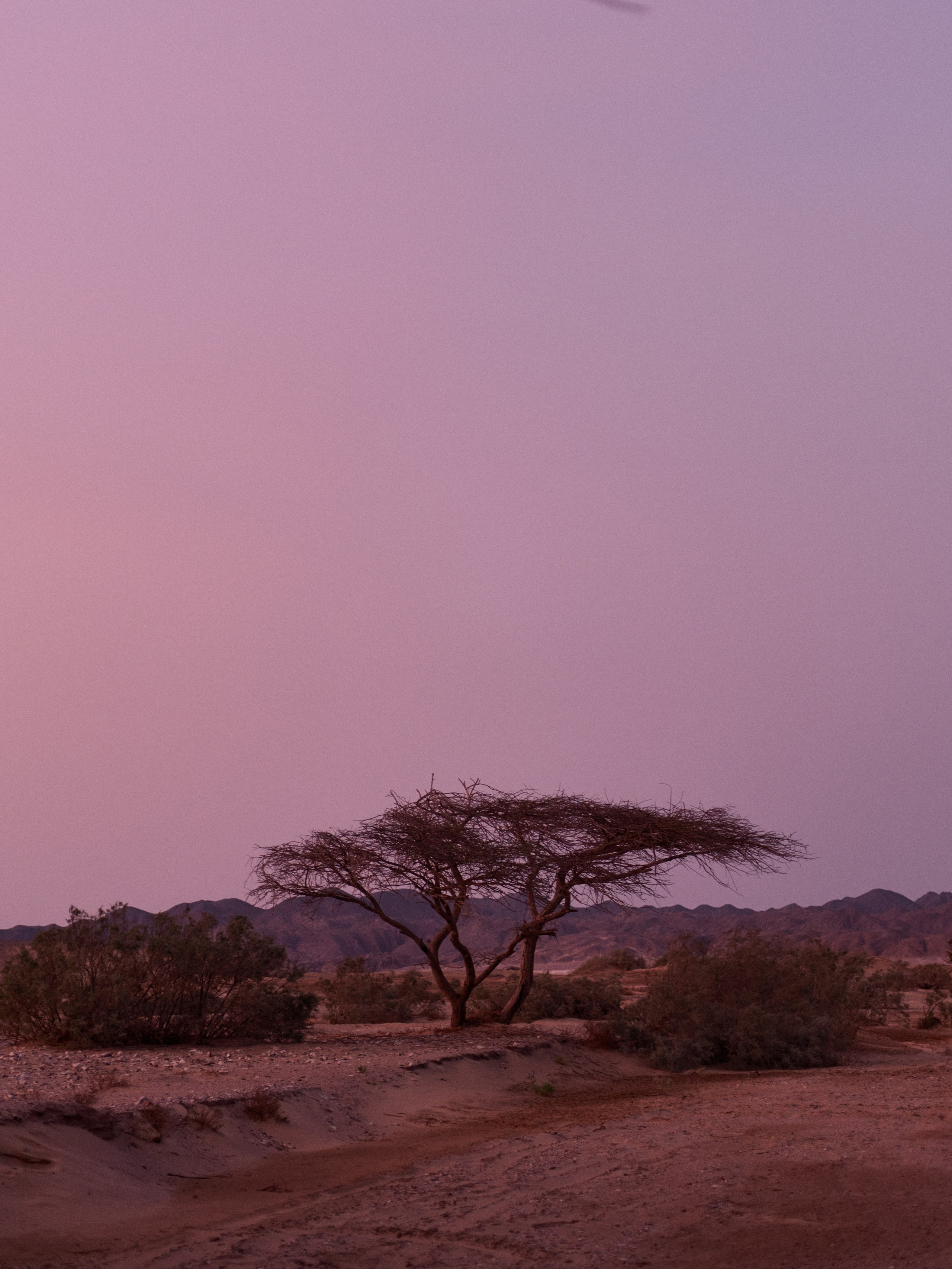 Другое 3. Jorgis Talè — photographer, kind person, teacher of arts and other mag