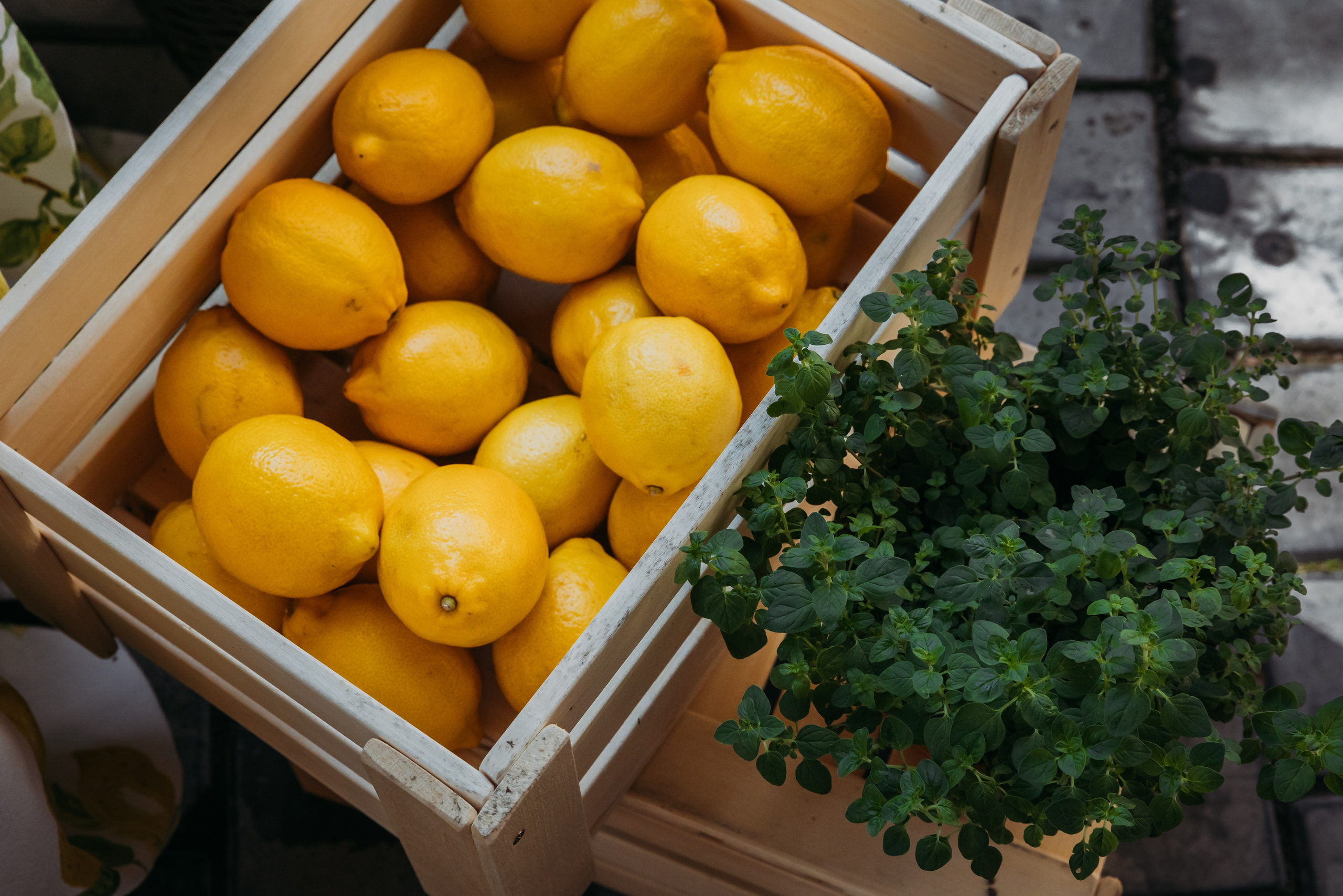 Родные люди «Итальянский день». Леся Гаранина. Семейный фотограф/видеограф Москва и область