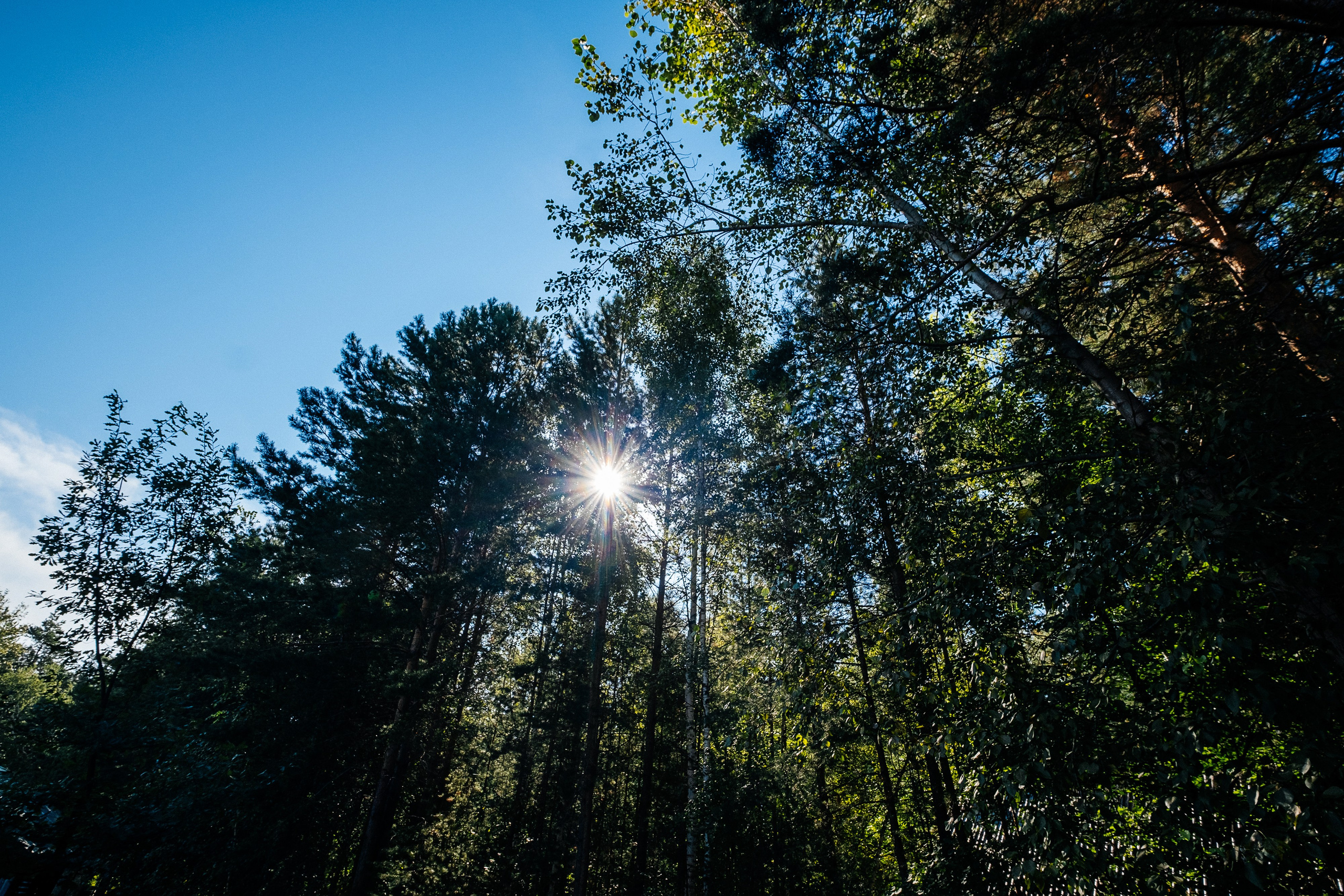Степа_Вика. Свадебный и семейный фотограф Барнаул Рубцовск Бийск Алтайский край