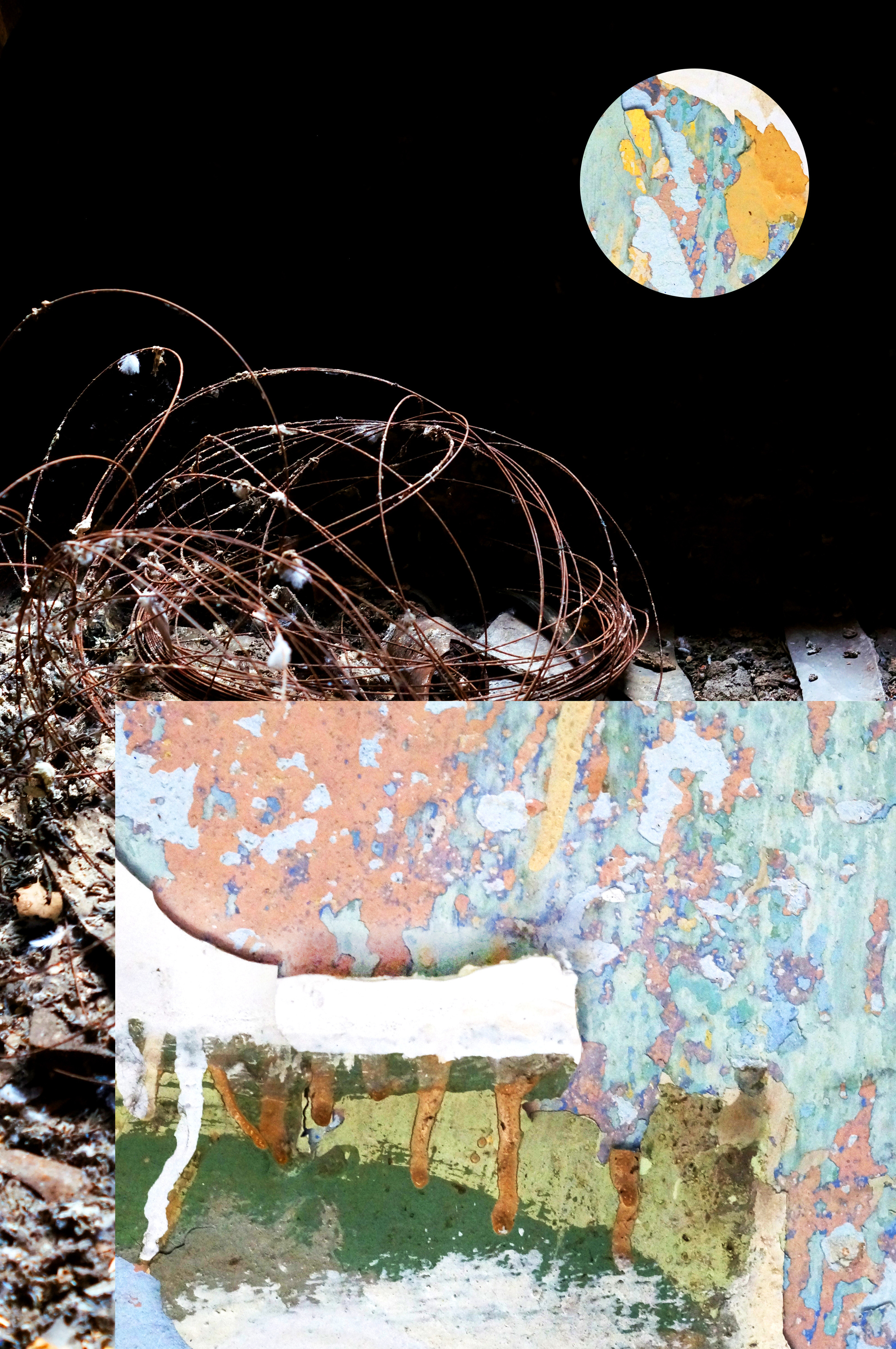 Lost and Found. Artist Anna Snegina Художница Анна Снегина