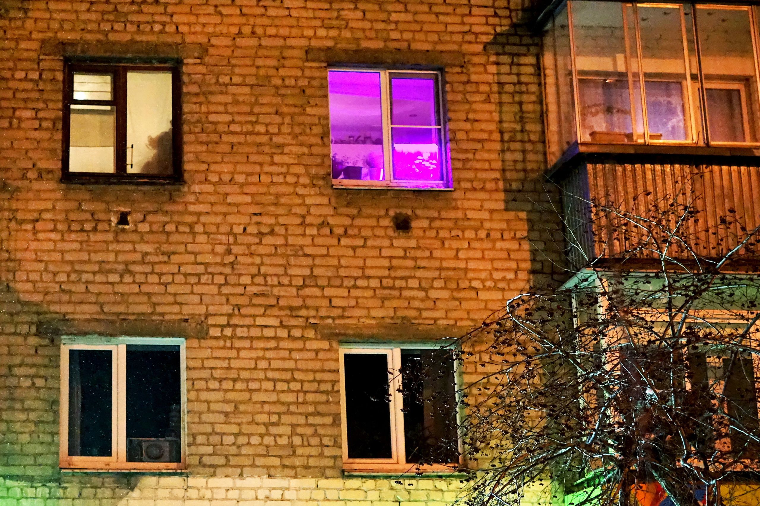 Windows. Artist Anna Snegina Художница Анна Снегина