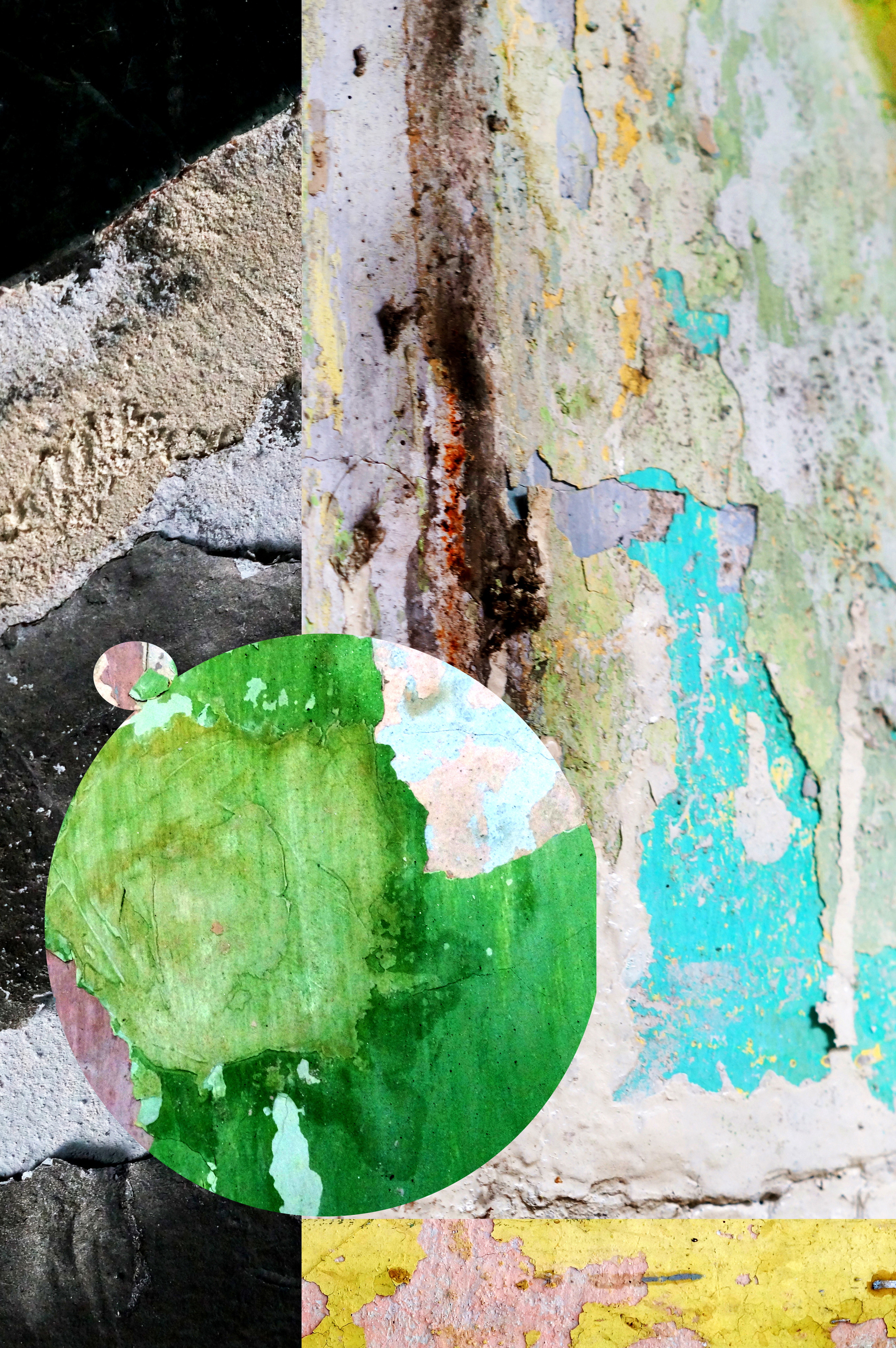 Lost and Found. Artist Anna Snegina Художница Анна Снегина