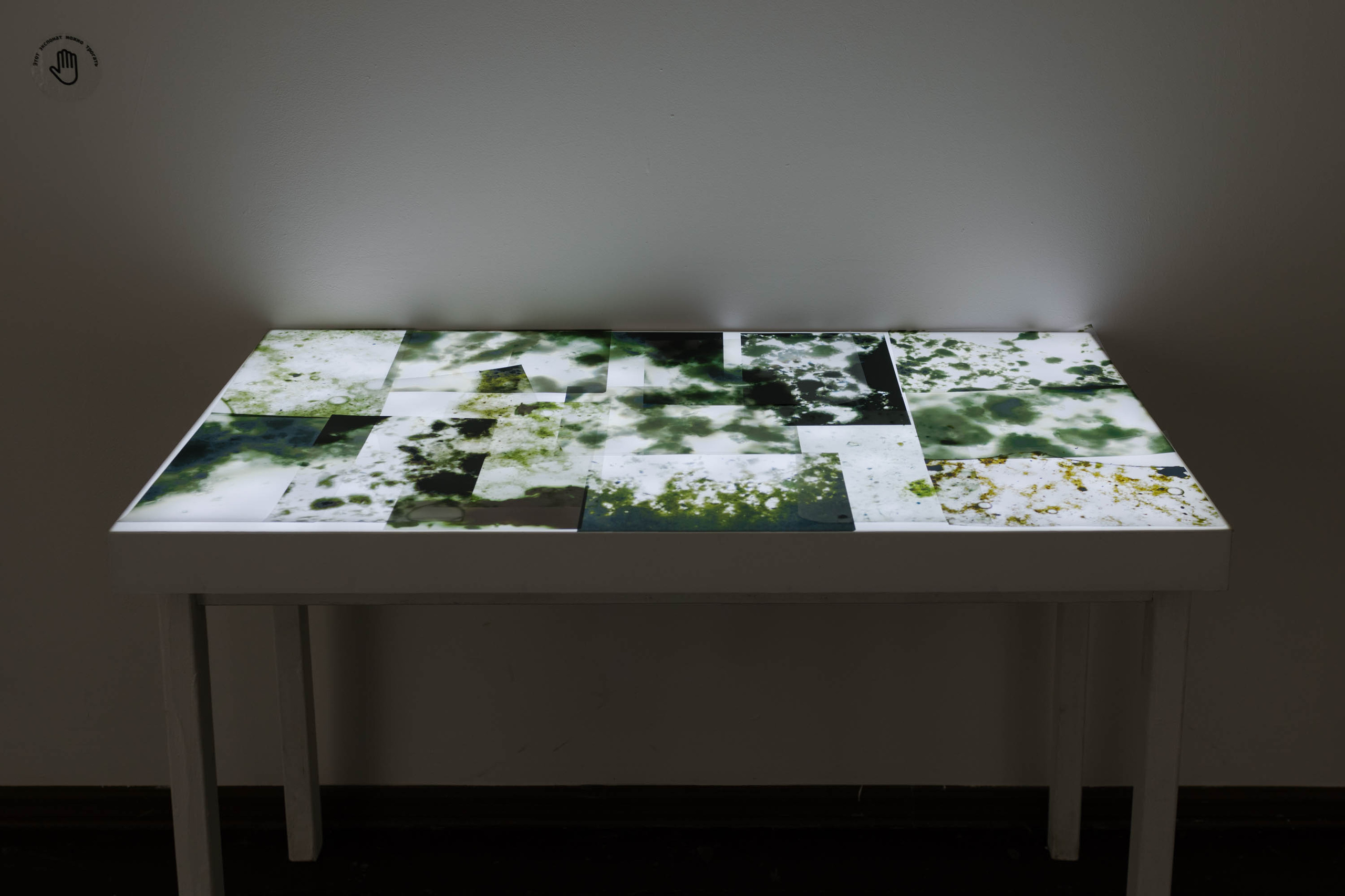 Dirt and Order by Anna Snegina. Artist Anna Snegina Художница Анна Снегина