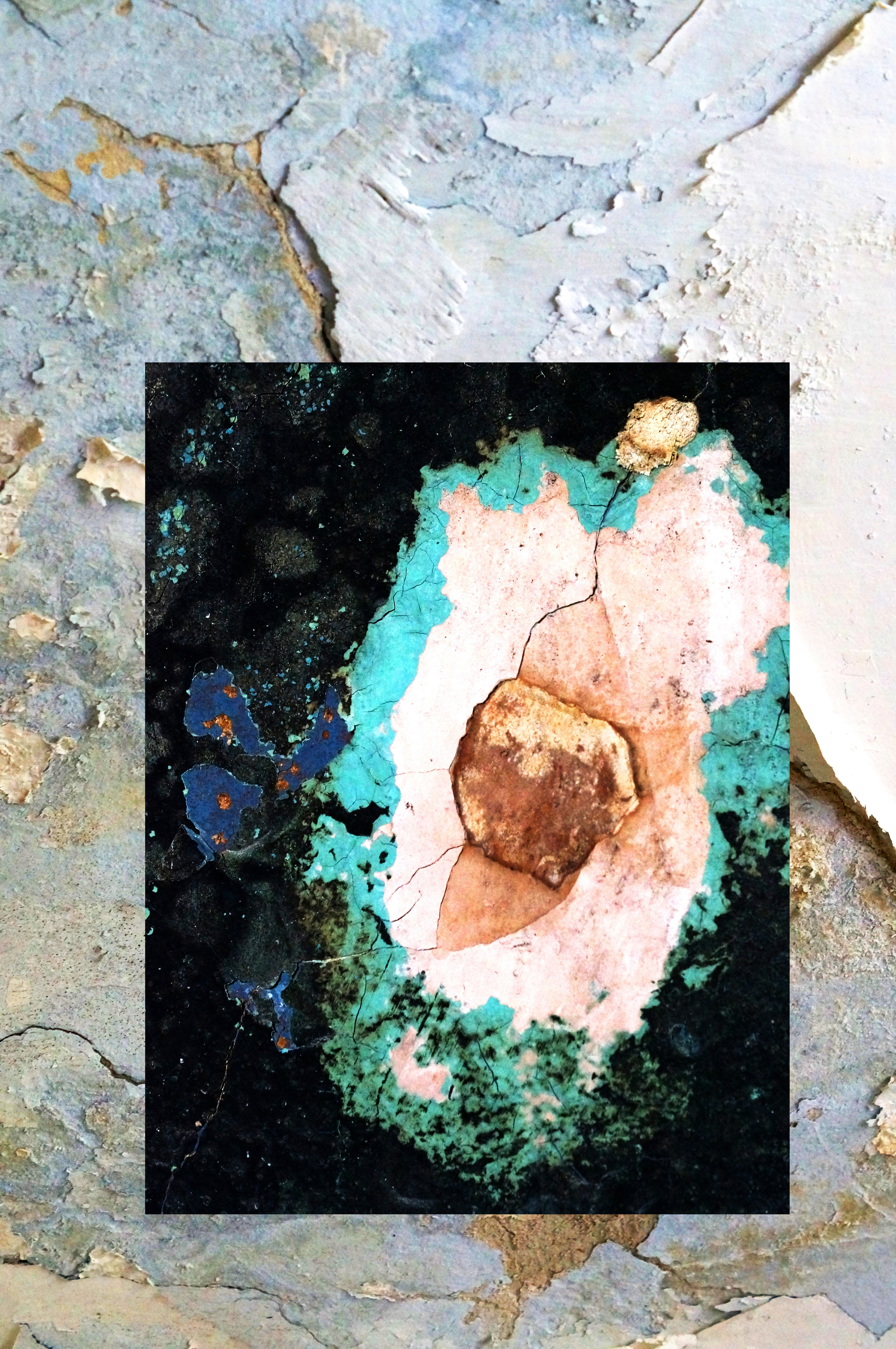 Lost and Found. Artist Anna Snegina Художница Анна Снегина