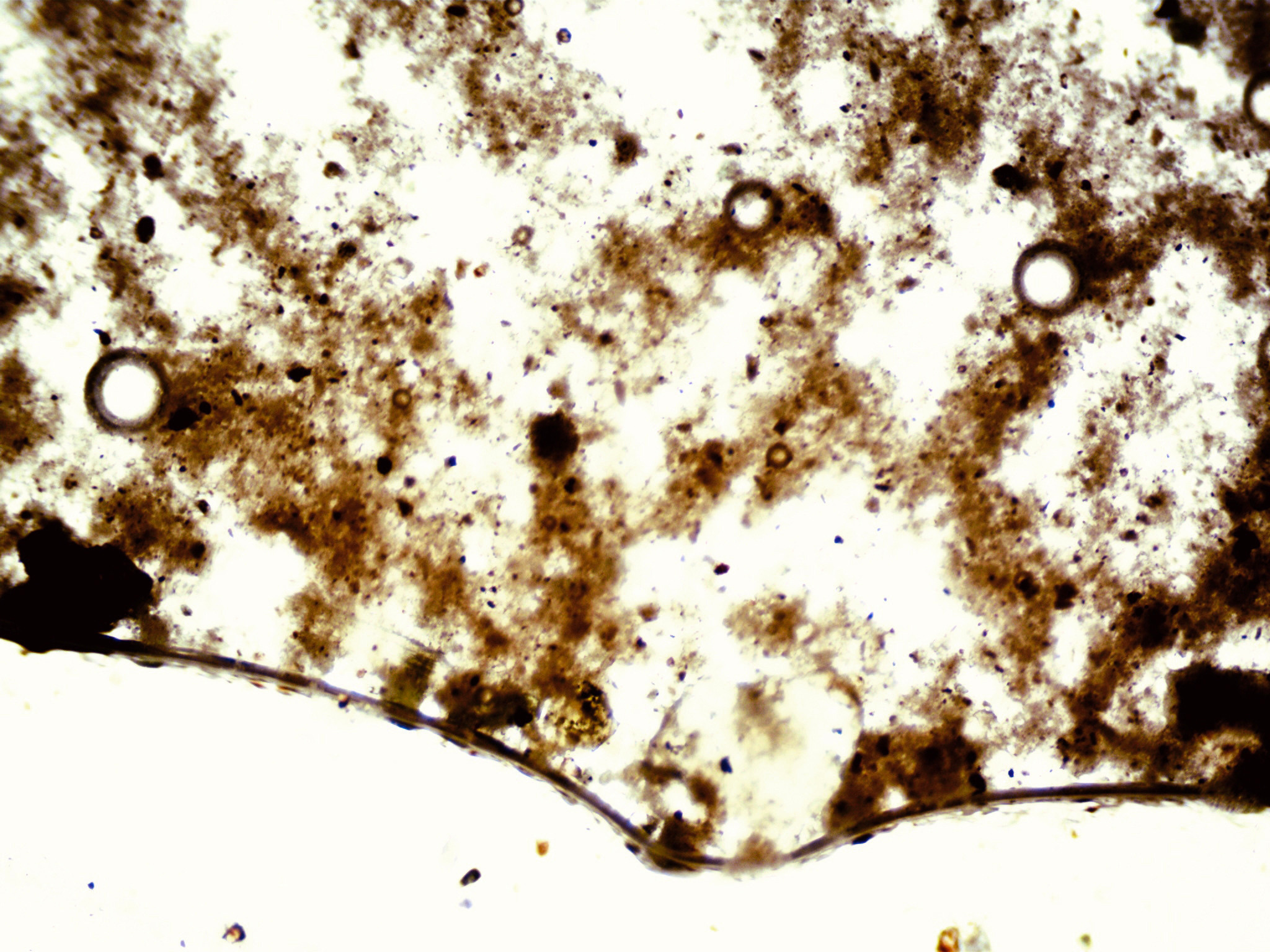 Dirt and Order by Anna Snegina. Artist Anna Snegina Художница Анна Снегина