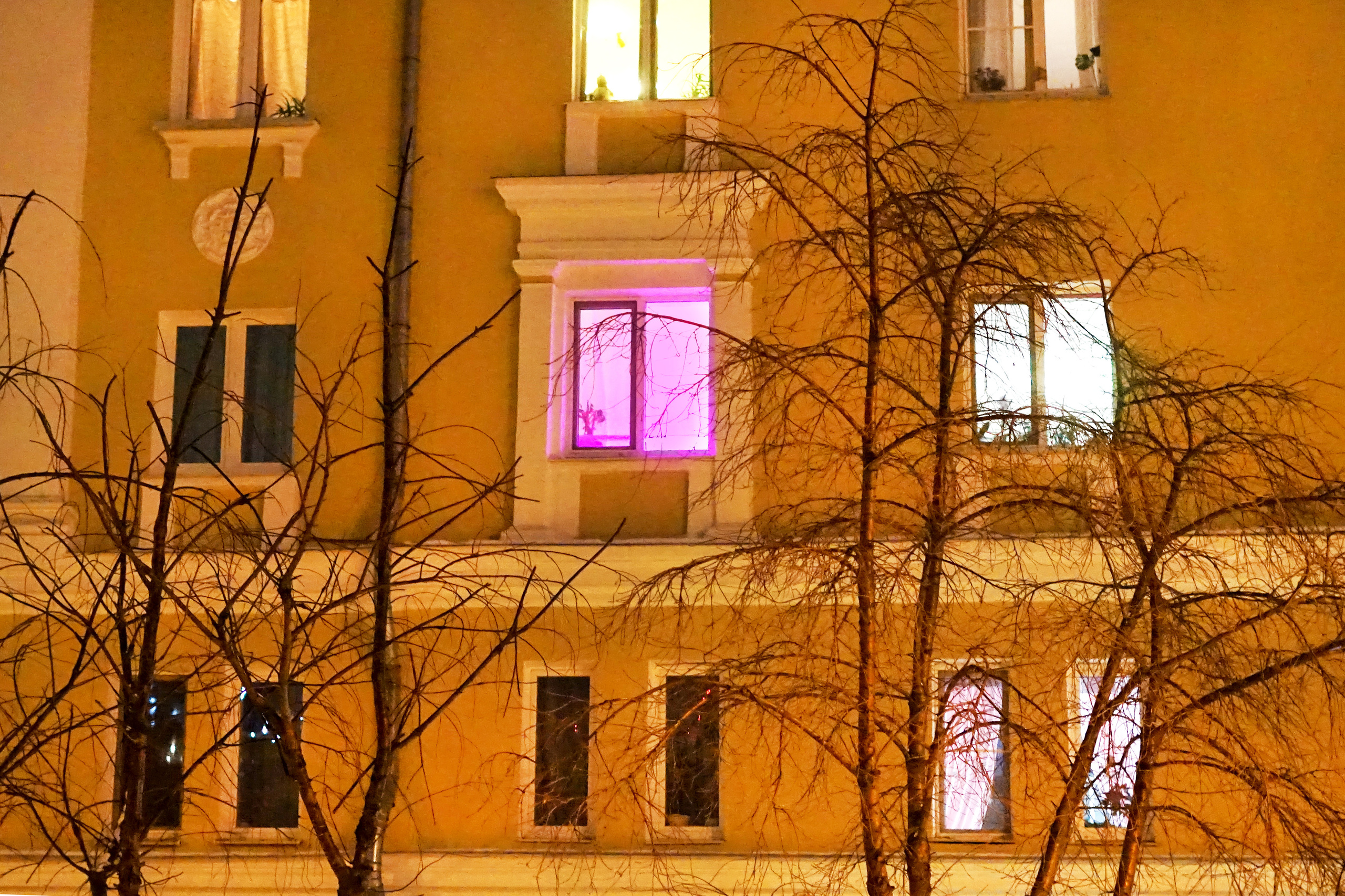 Windows. Artist Anna Snegina Художница Анна Снегина