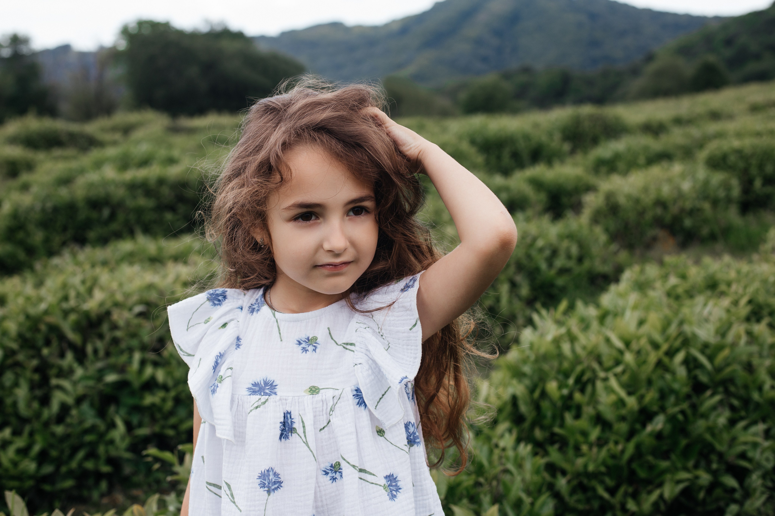 Tea plantation. Efimova Model Agency