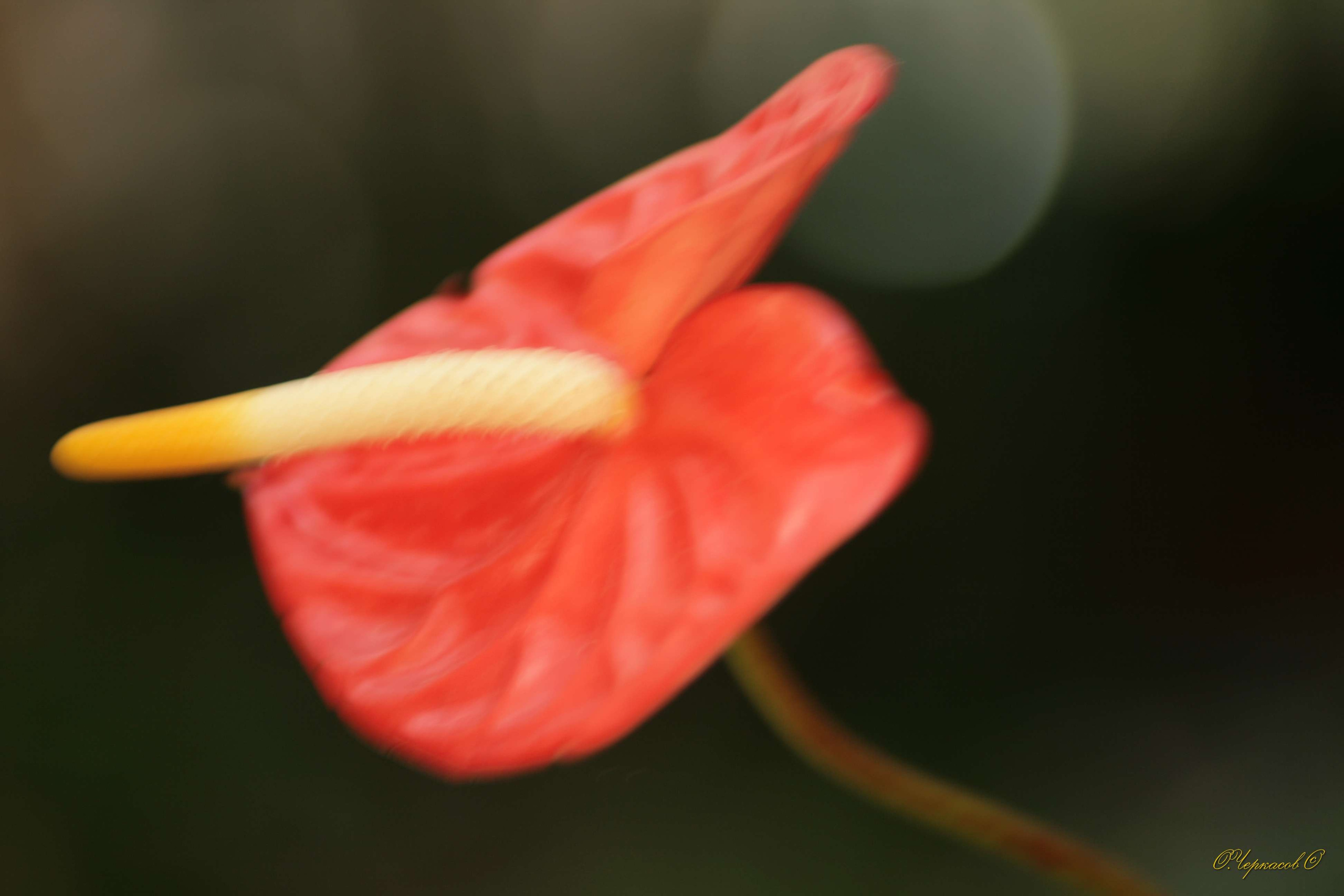 Вьетнам 2008 г. Улица, люди, жизнь…