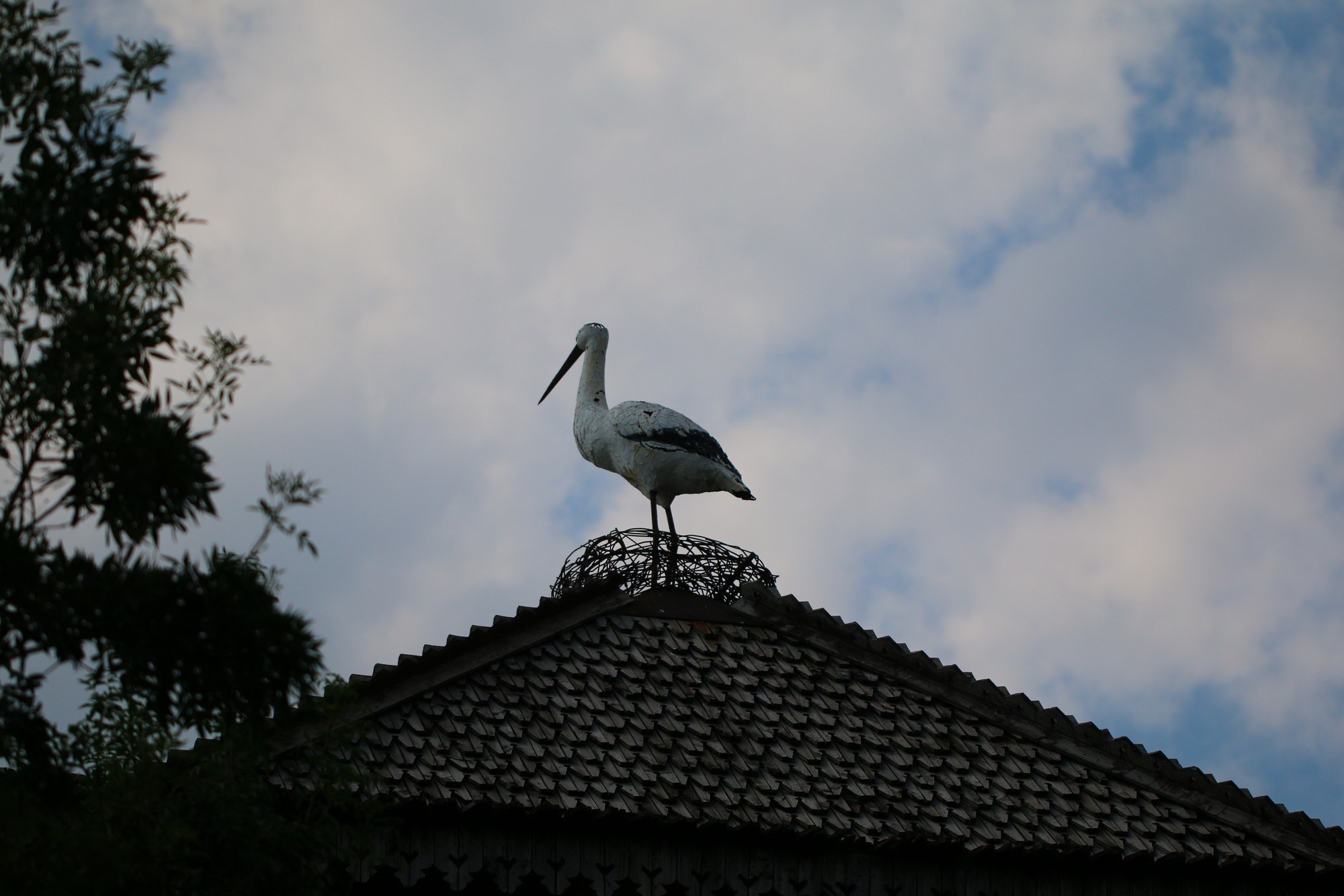 Геленджик 2016 г. Улица, люди, жизнь…