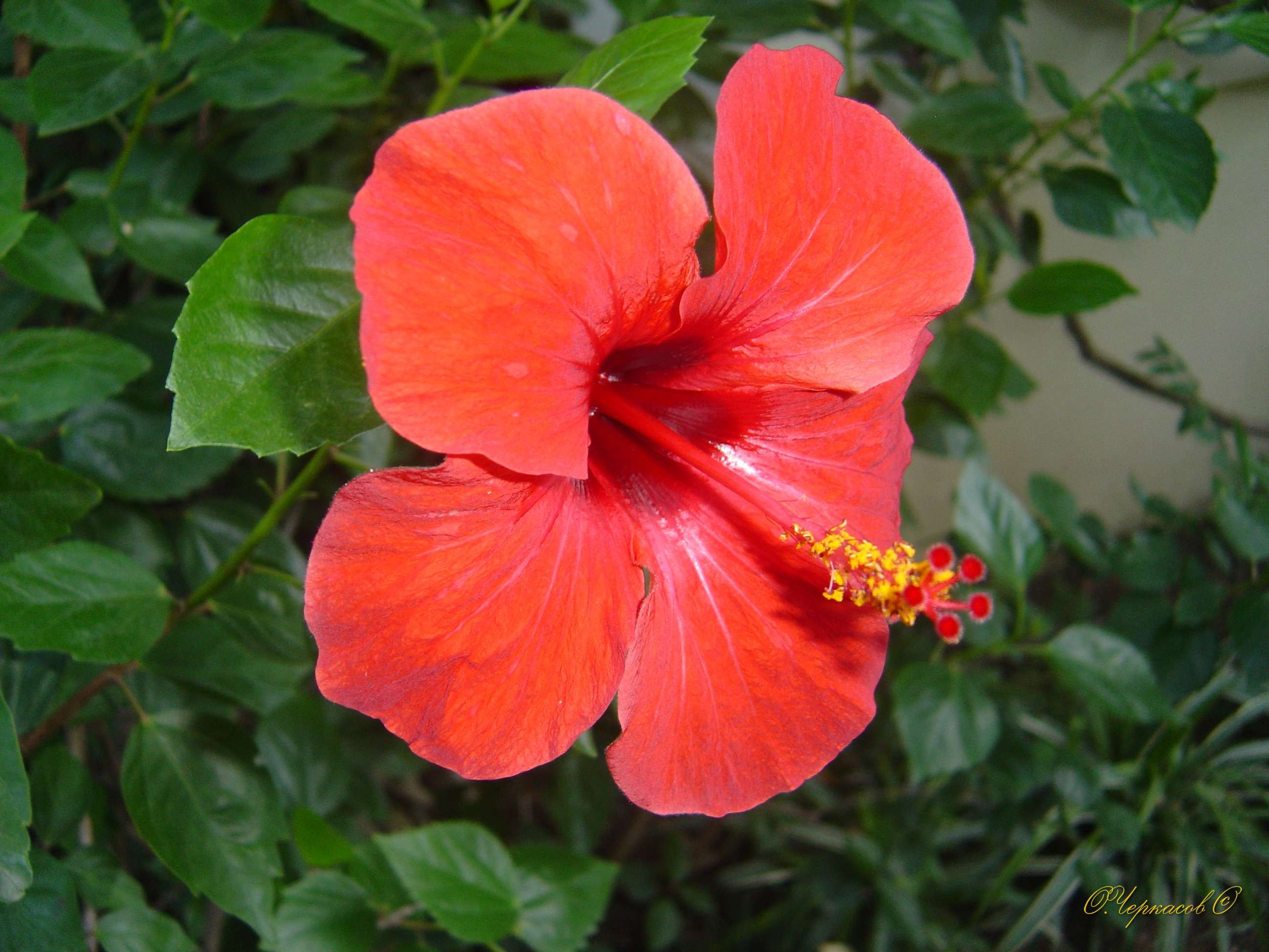 Турция, Зигана, 2005. Улица, люди, жизнь…