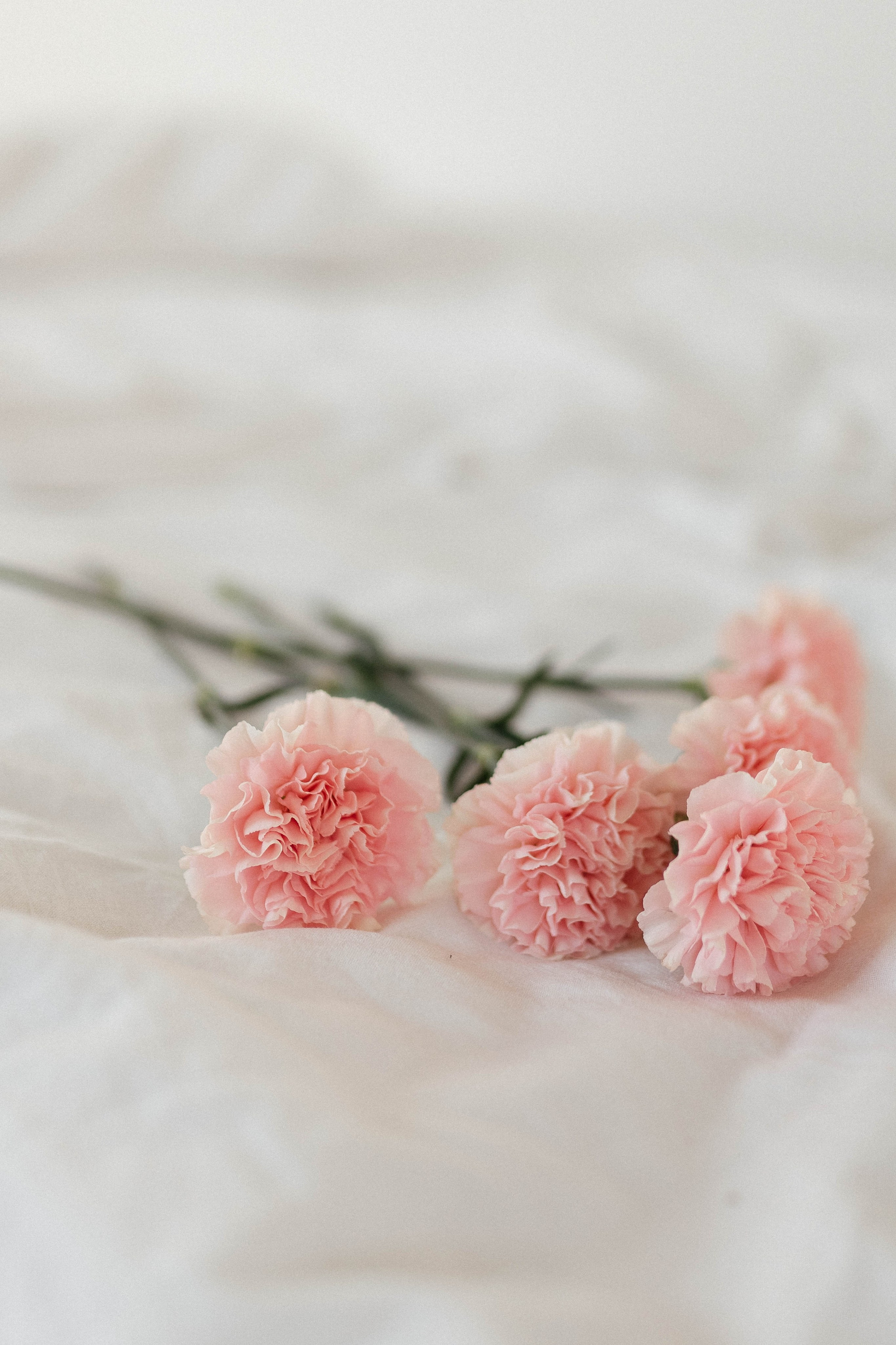 Яна. Фотограф Оля Климова, обучение фотографов