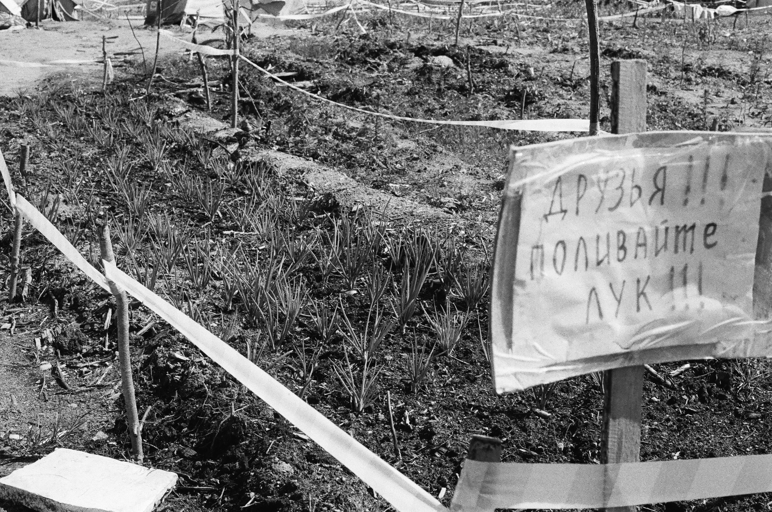 Shiyes, July 2019. Polina Soyref, portrait photographer