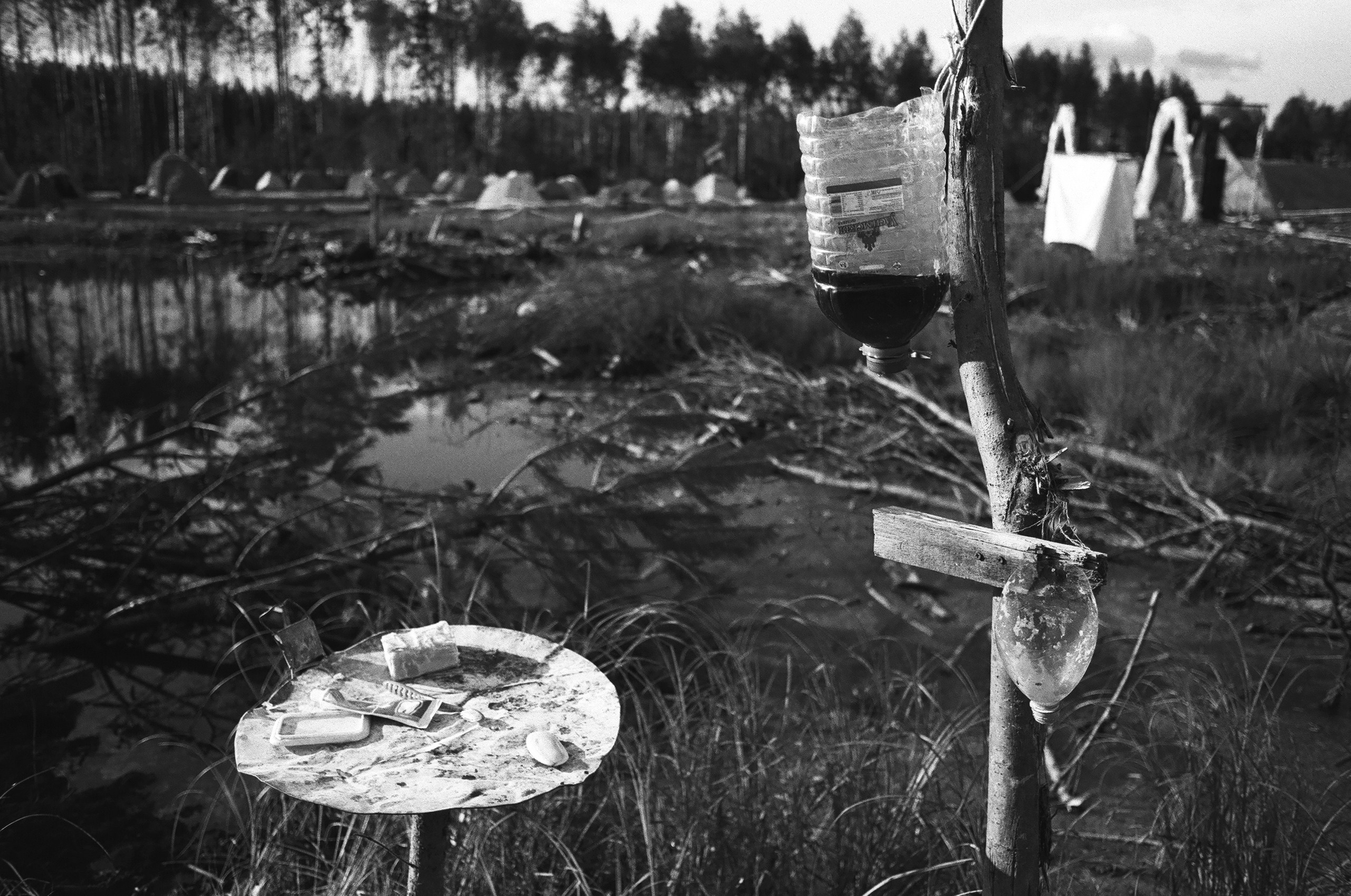 Shiyes, July 2019. Polina Soyref, portrait photographer