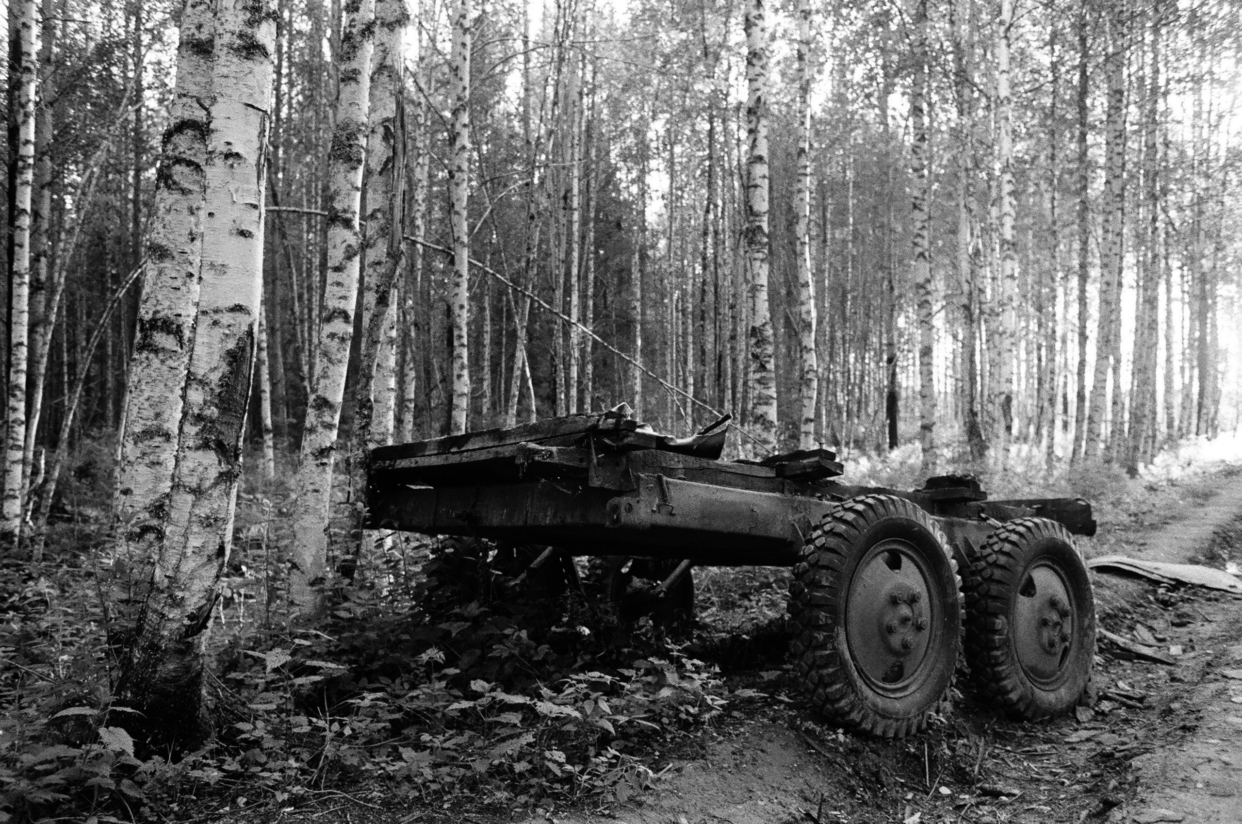 Shiyes, July 2019. Polina Soyref, portrait photographer