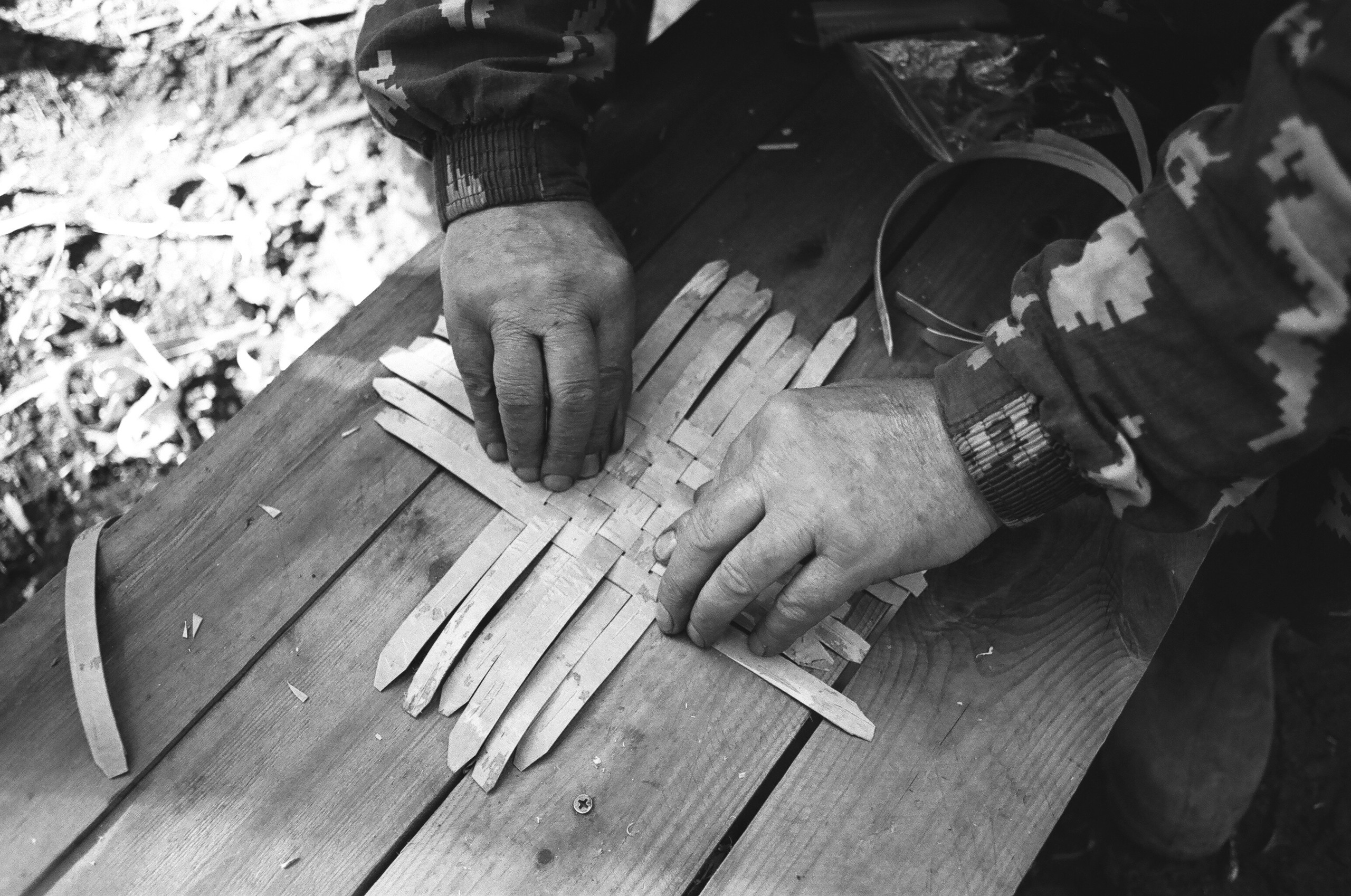 Shiyes, July 2019. Polina Soyref, portrait photographer