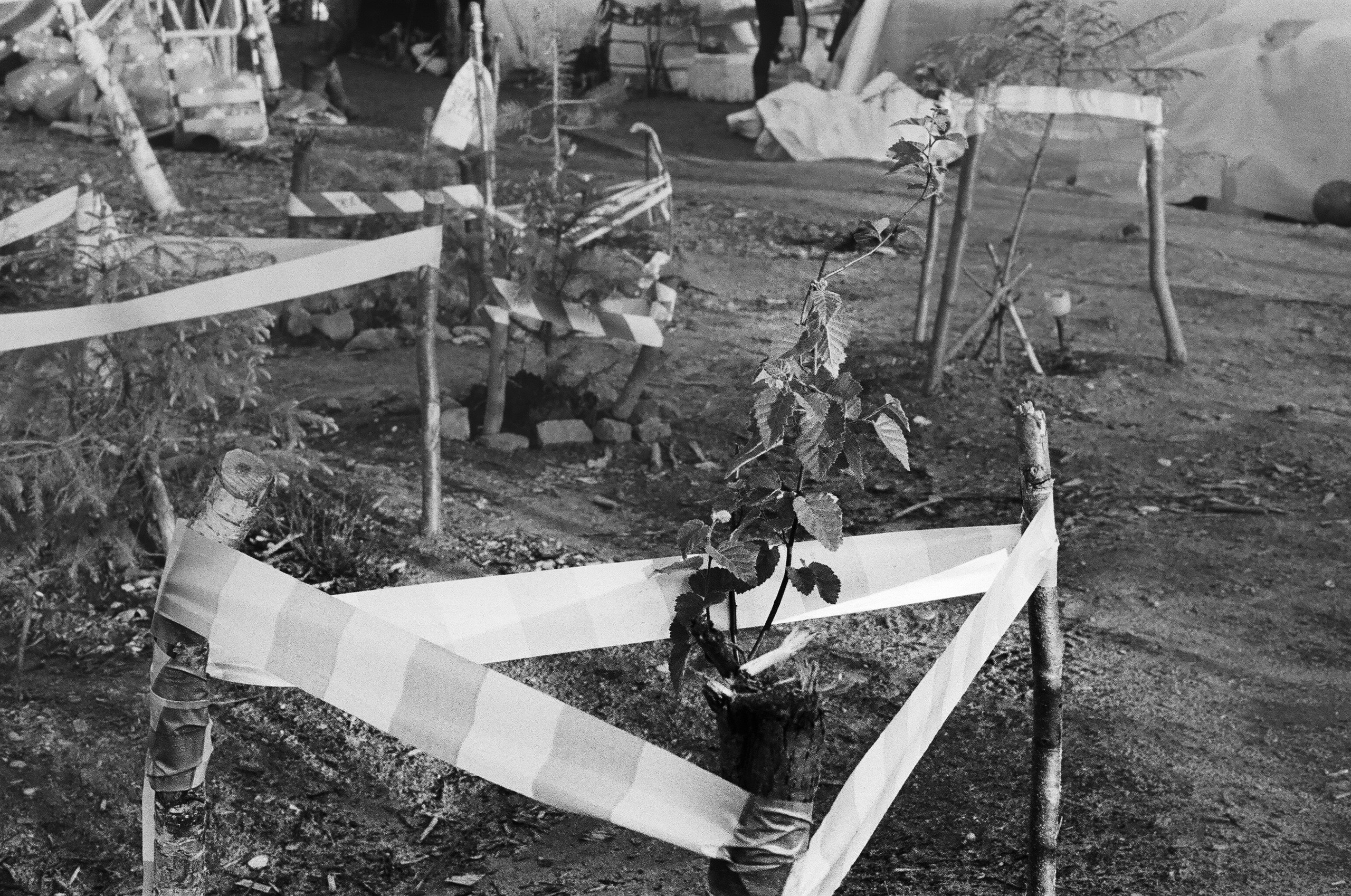 Shiyes, July 2019. Polina Soyref, portrait photographer