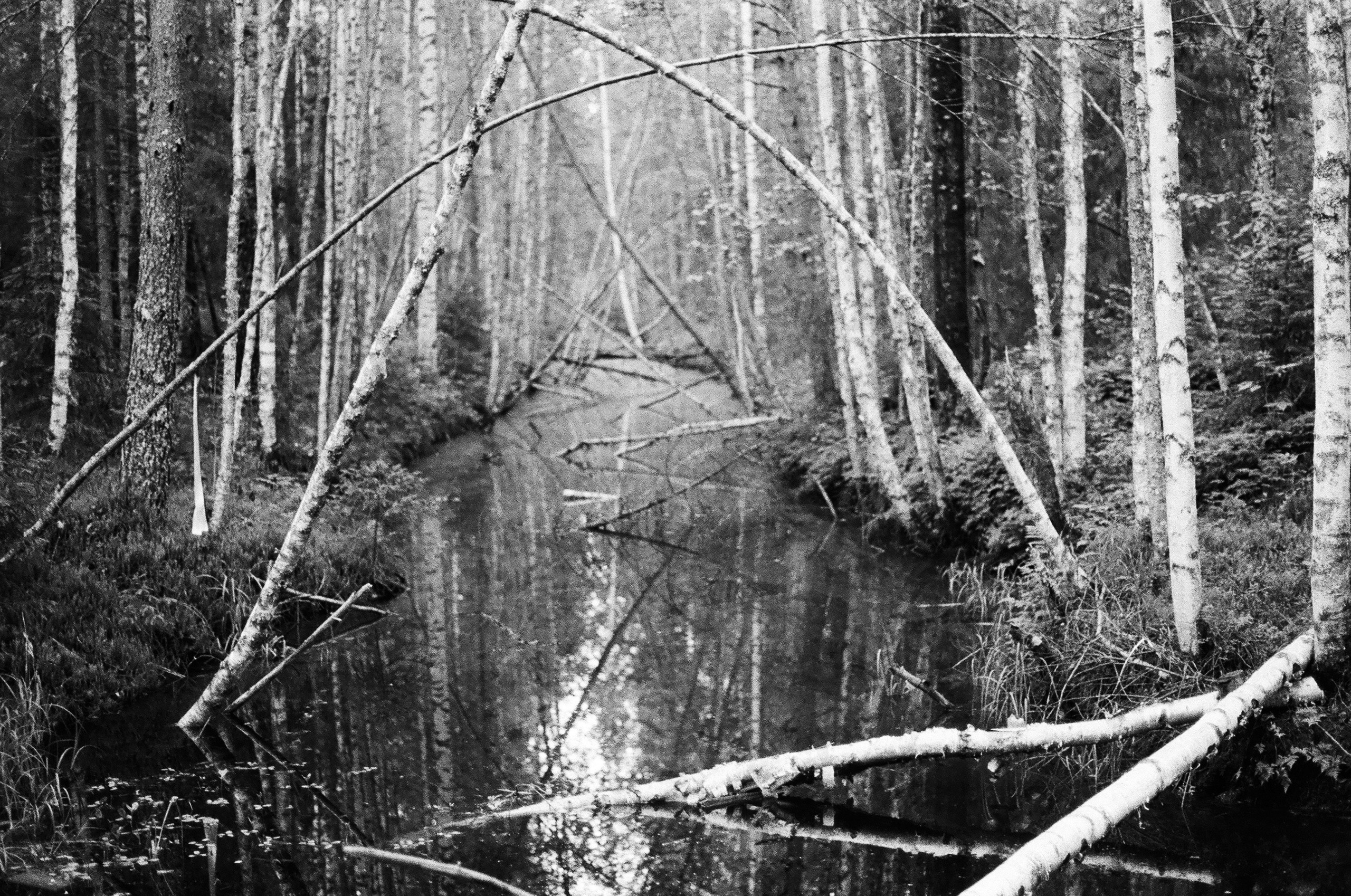 Shiyes, July 2019. Polina Soyref, portrait photographer