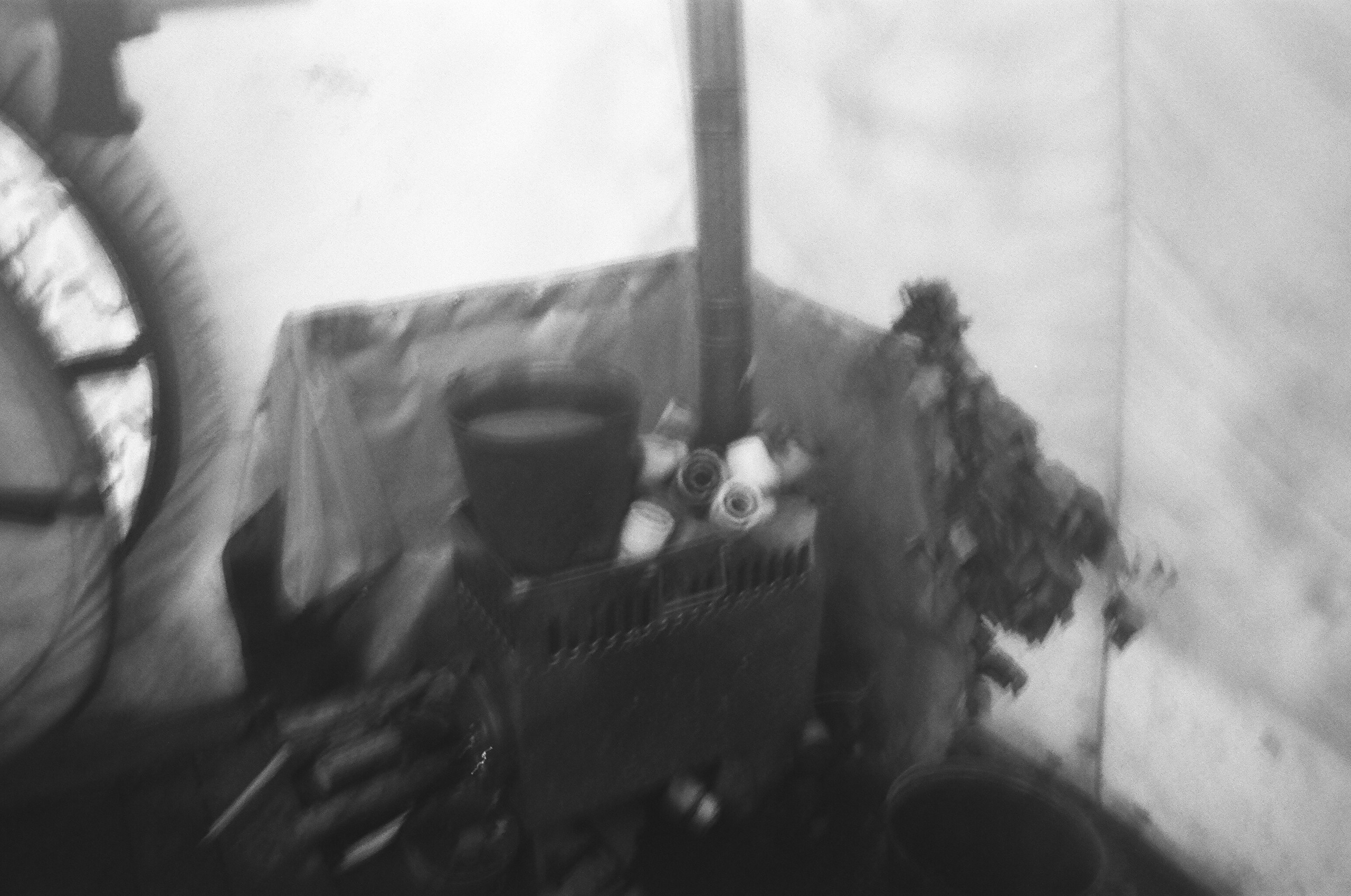 Shiyes, July 2019. Polina Soyref, portrait photographer