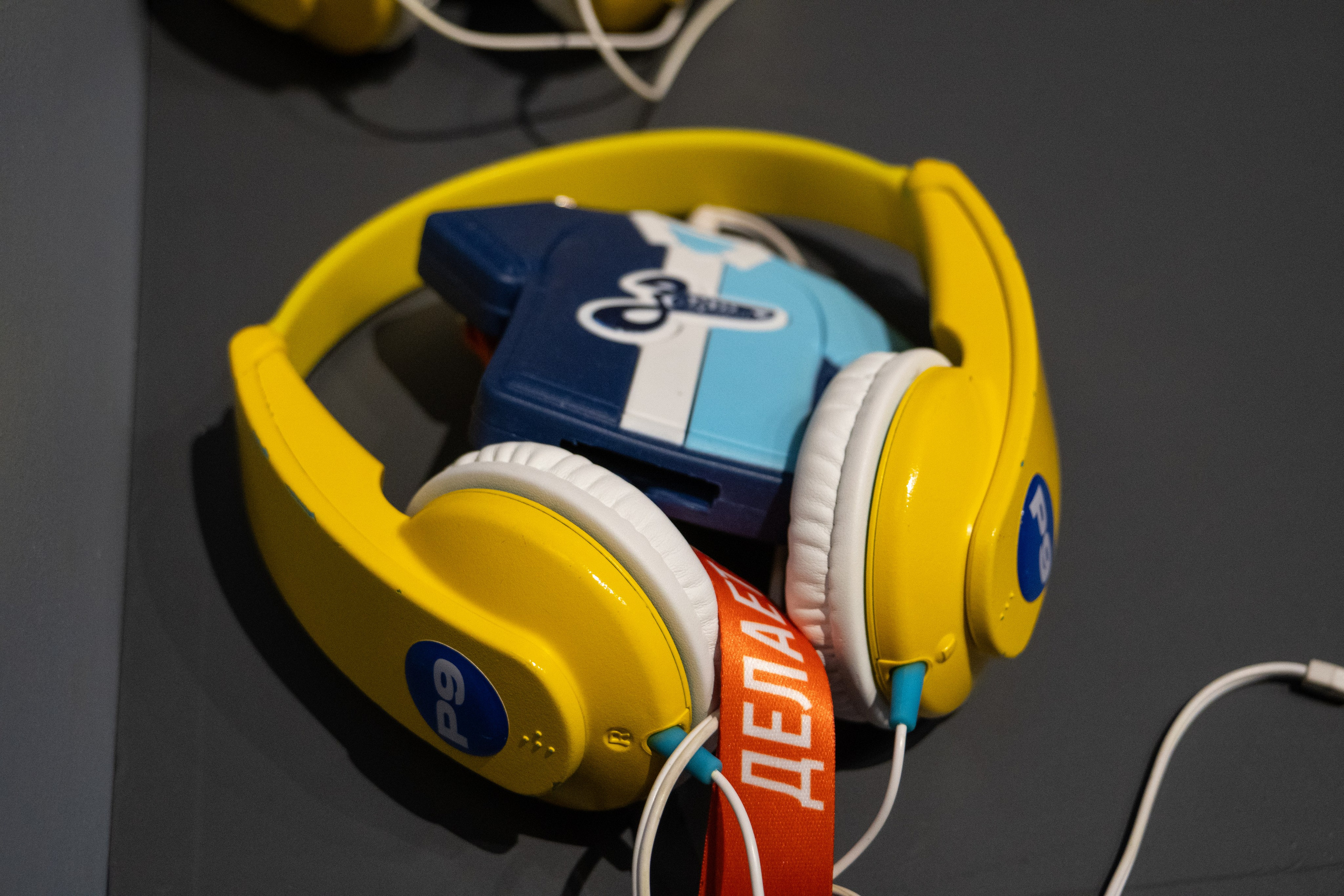 Выставка Зенит. Видеограф, фотограф в Санкт-Петербурге Элеонора Петрова