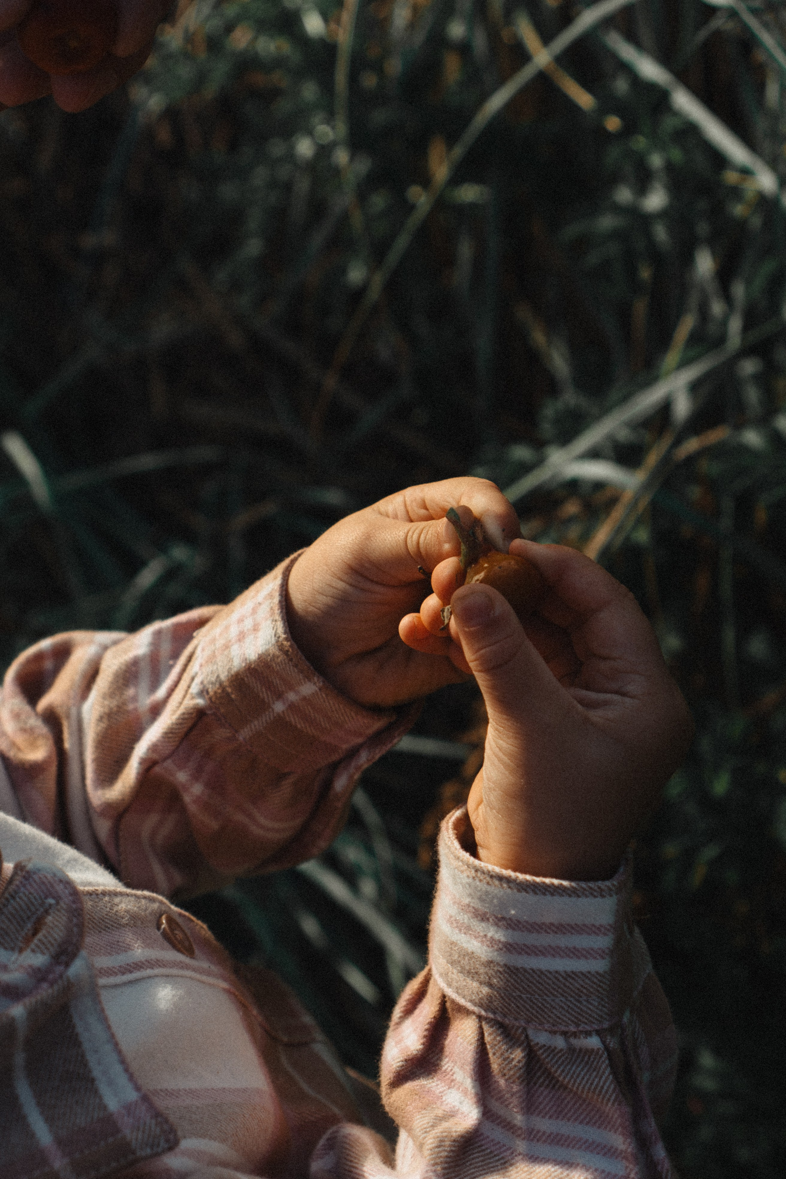 МАМА И ДОЧКА НА ФИНСКОМ ЗАЛИВЕ. Профессиональный фотограф, Санкт-Петербург — Виктория Богомолова