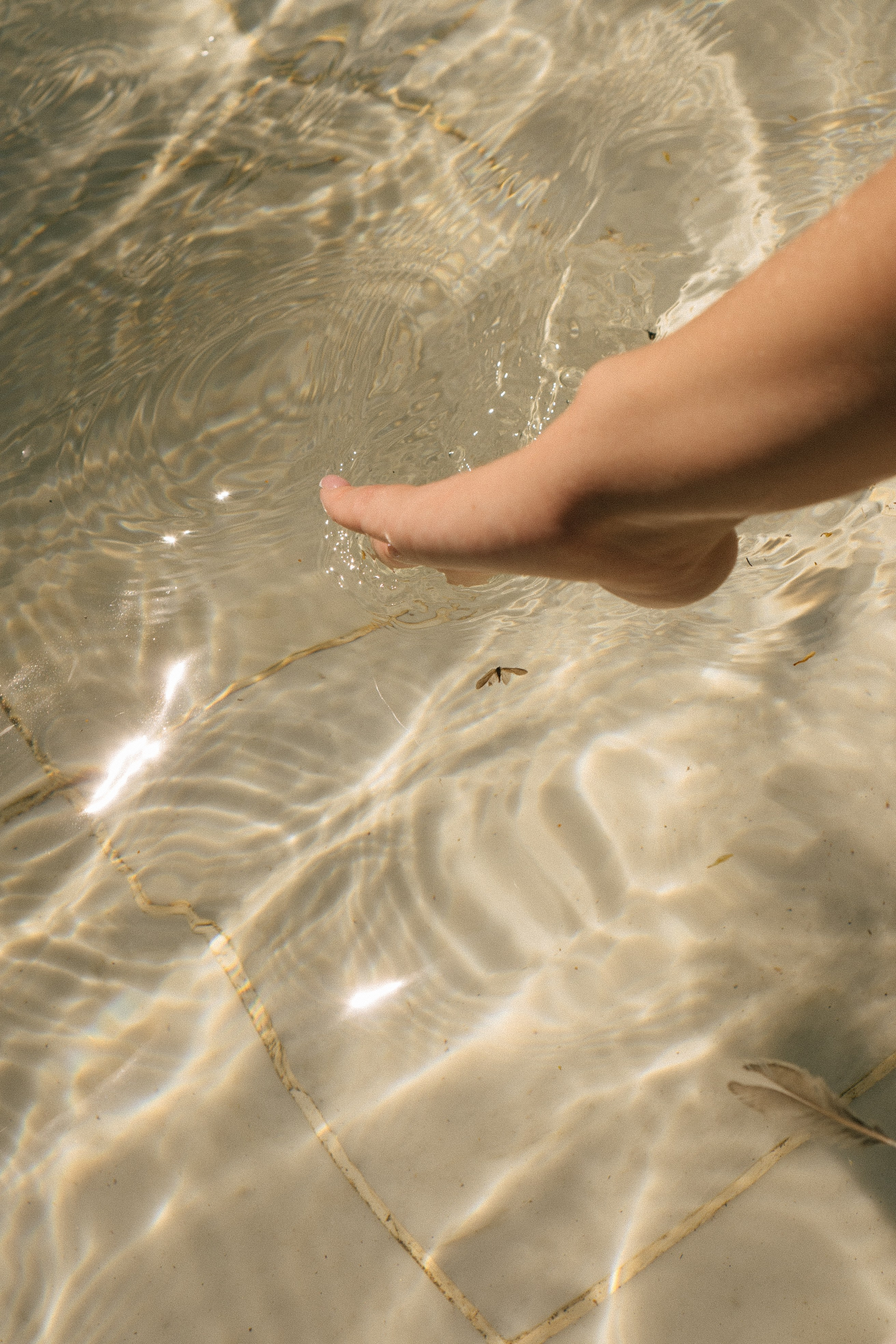ПРОГУЛКА ПО ЛЕТНЕМУ САДУ. Профессиональный фотограф, Санкт-Петербург — Виктория Богомолова