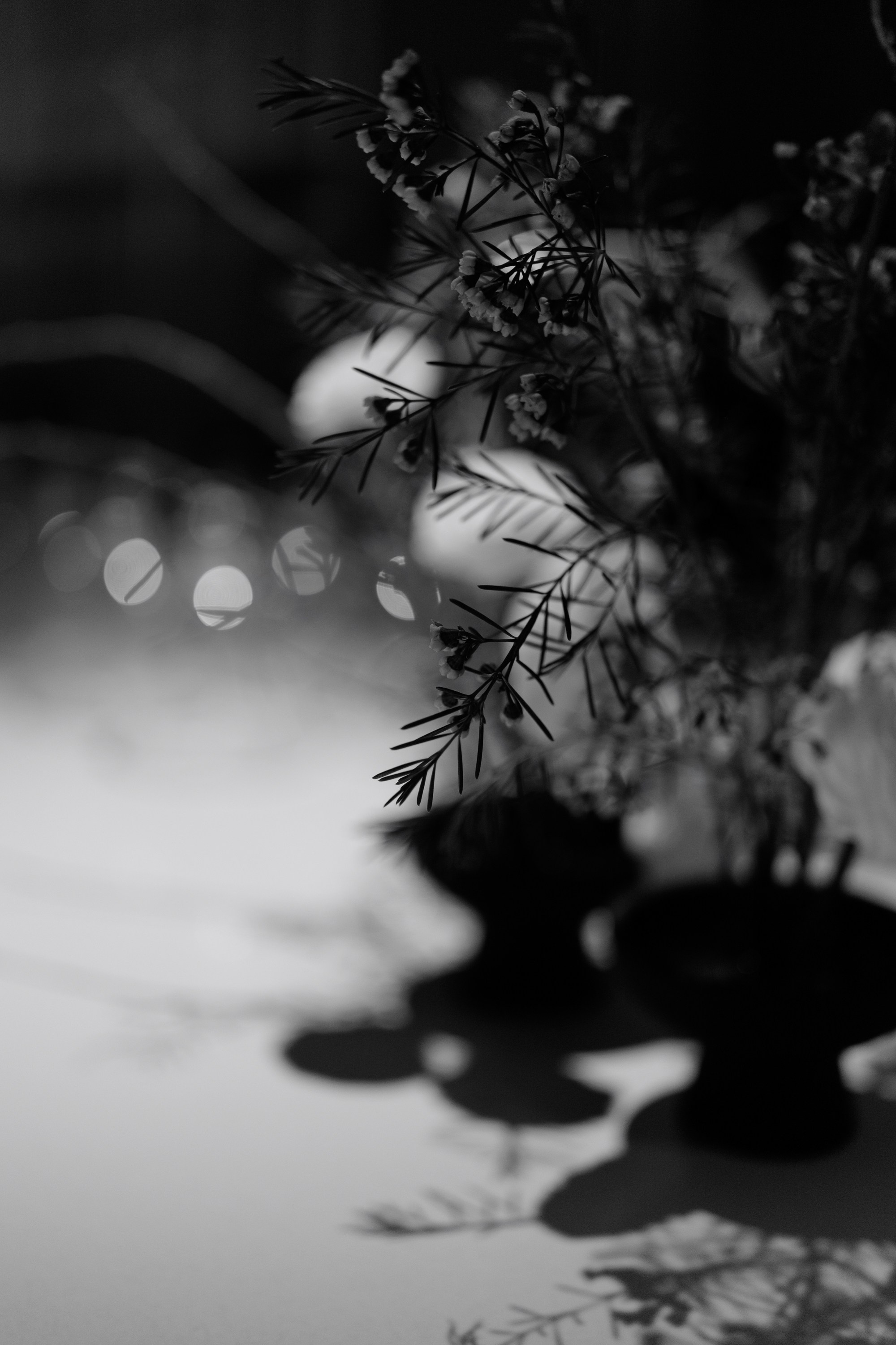 Гастроужин в р.Komorebi (may.25). Свадебный фотограф