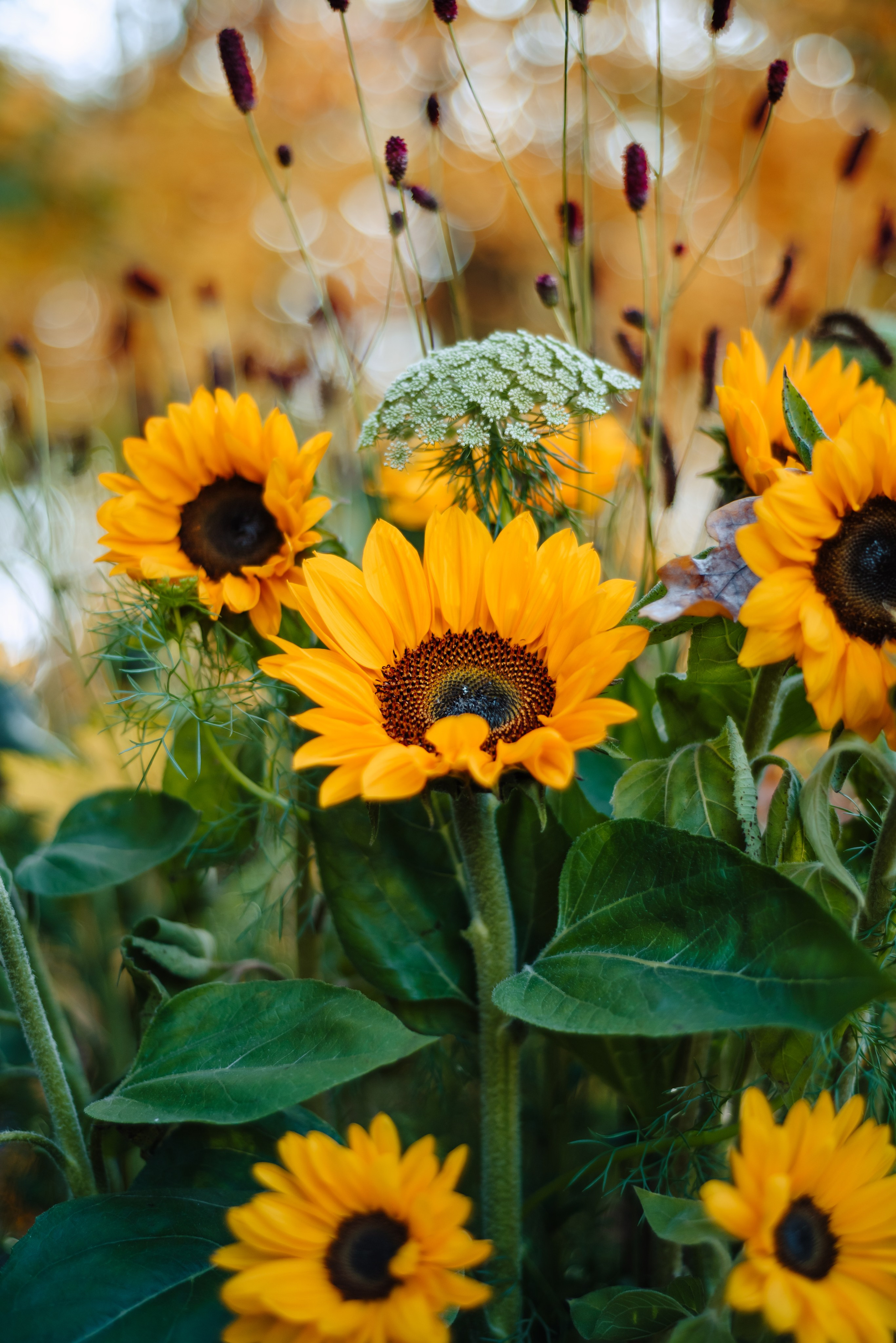 Лидия & Влада. Свадебный и семейный фотограф в Москве Лера Леридзе