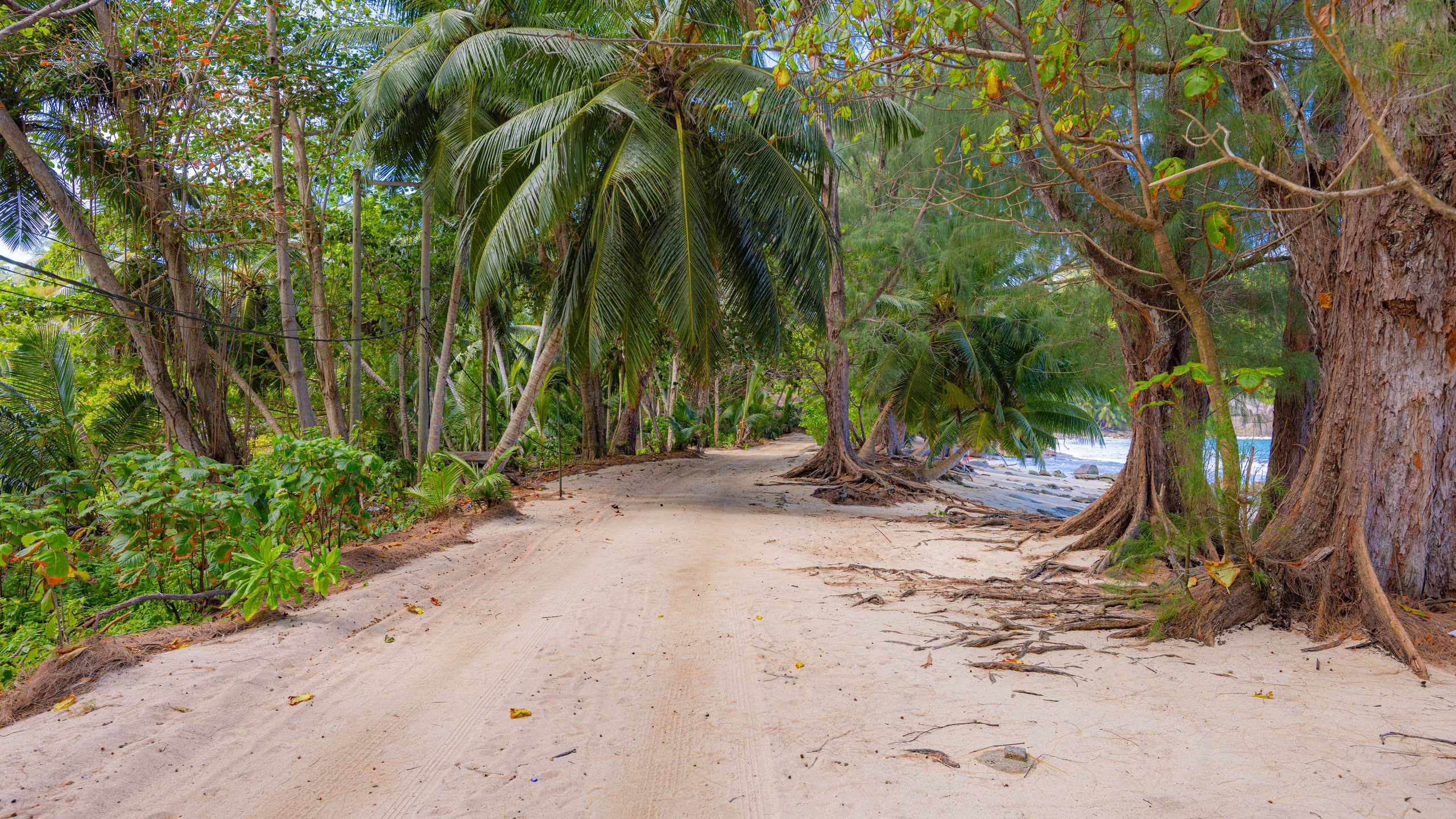 2025 07 Сейшелы (Маэ). Фотографии
